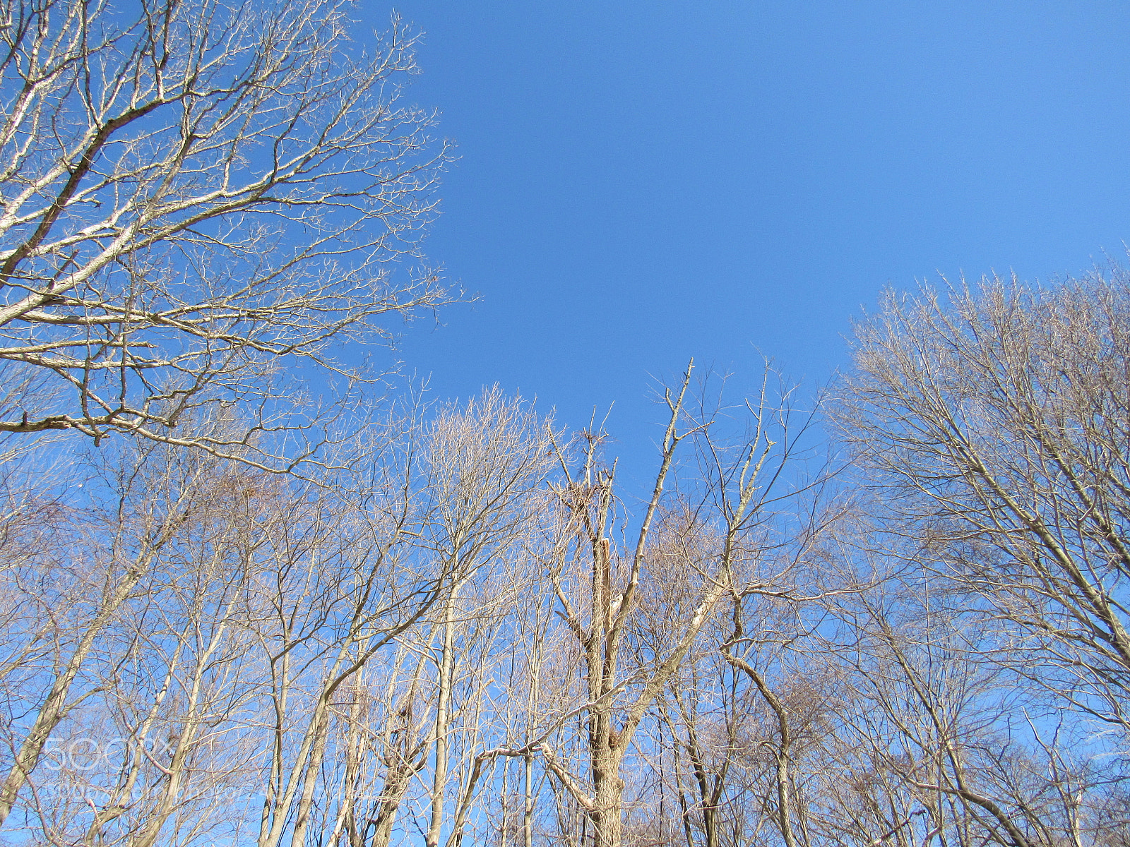 Canon PowerShot SX530 HS sample photo. Enjoyed this beautiful weather photography