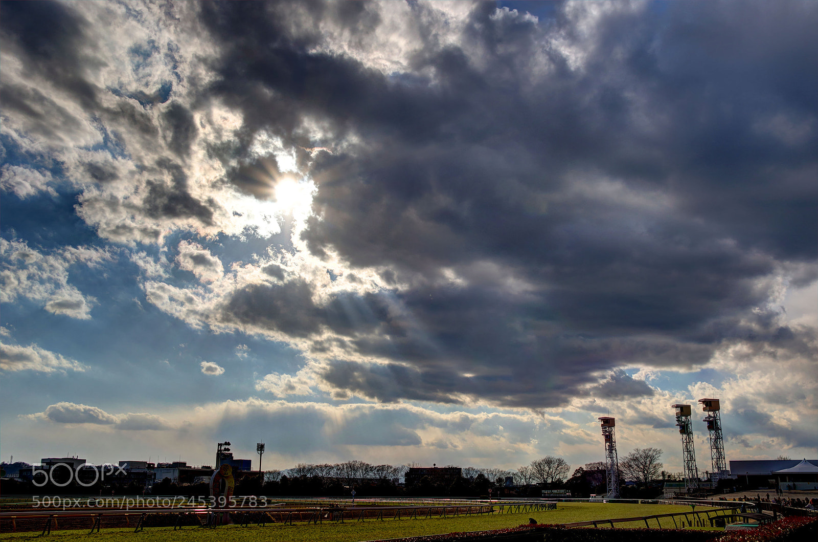 Canon EOS 7D Mark II sample photo. Tokyo race course photography