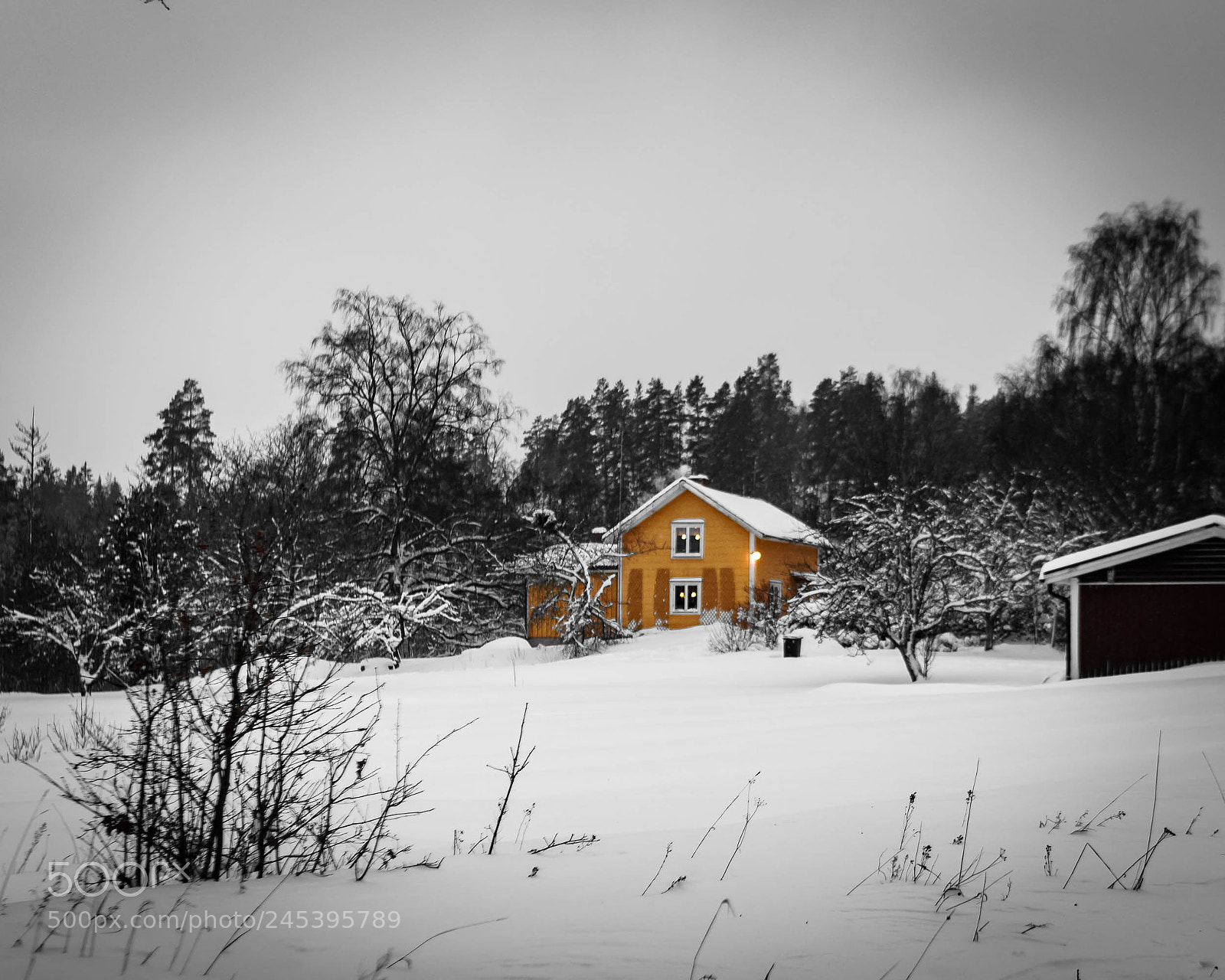 Sony a6500 sample photo. Family home for memories photography