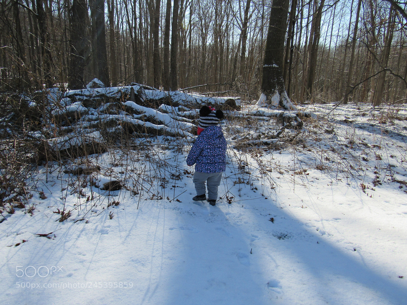 Canon PowerShot SX530 HS sample photo. My daughter out on photography