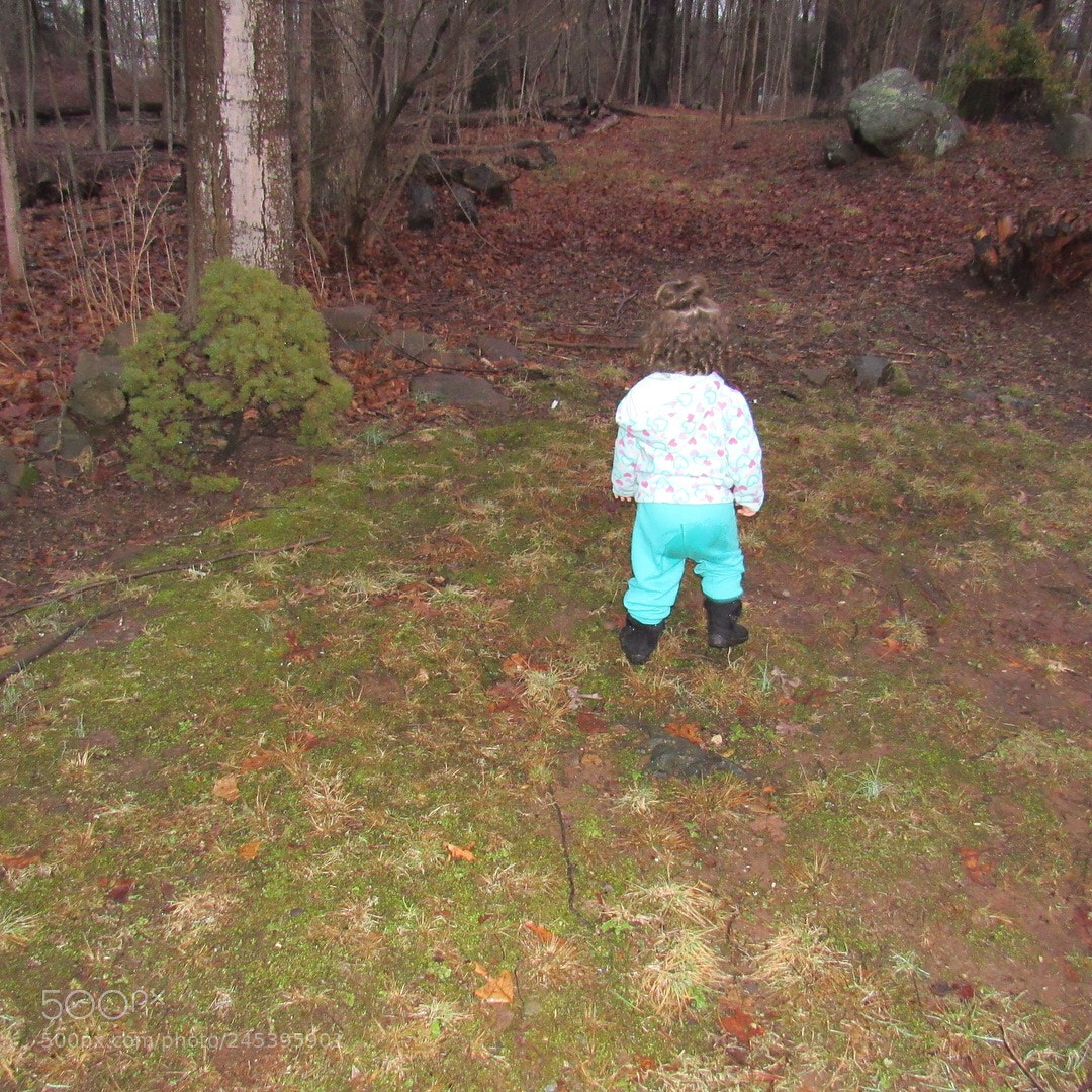 Canon PowerShot SX530 HS sample photo. My daughter out in photography