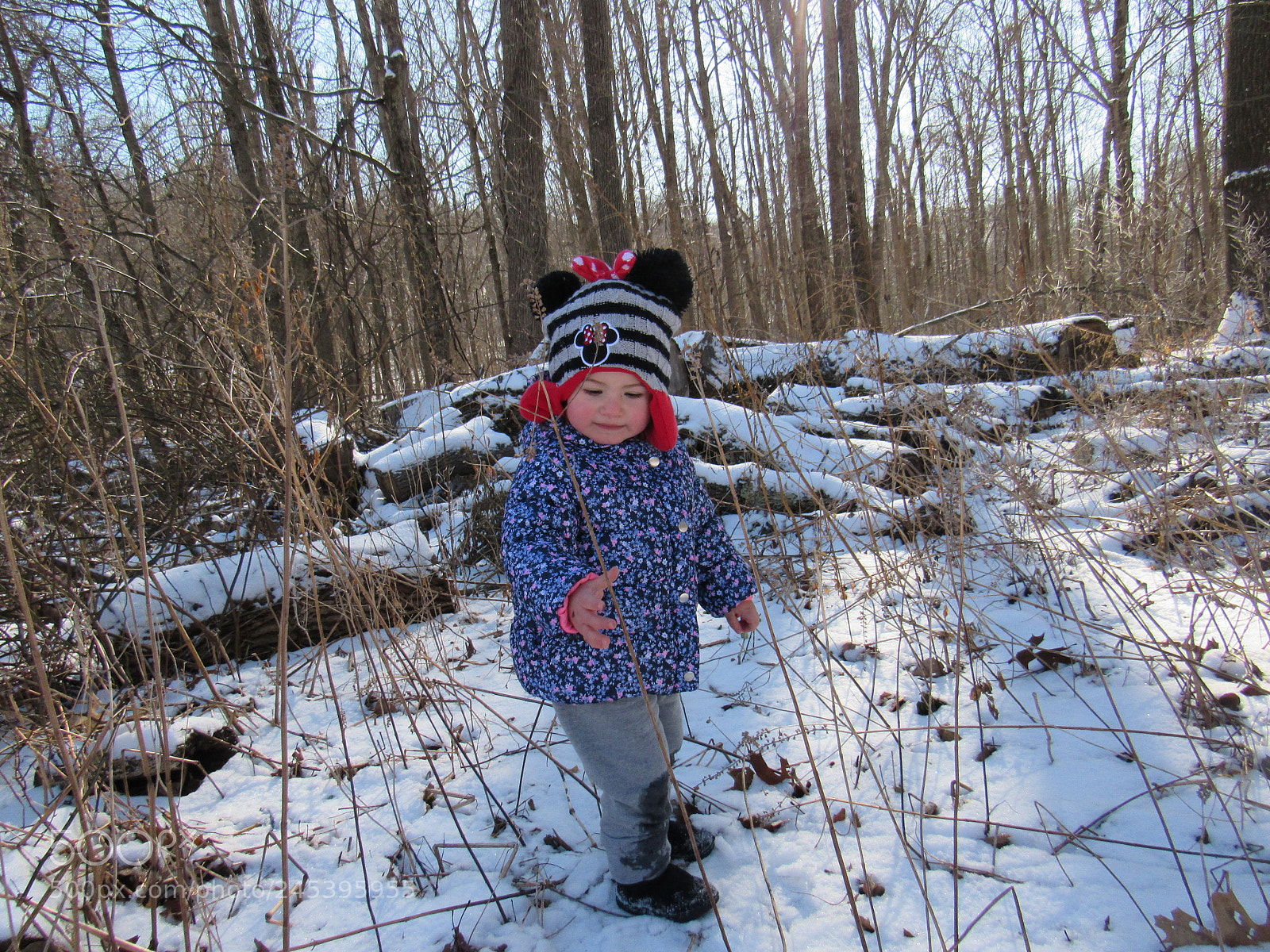 Canon PowerShot SX530 HS sample photo. My daughter exploring the photography