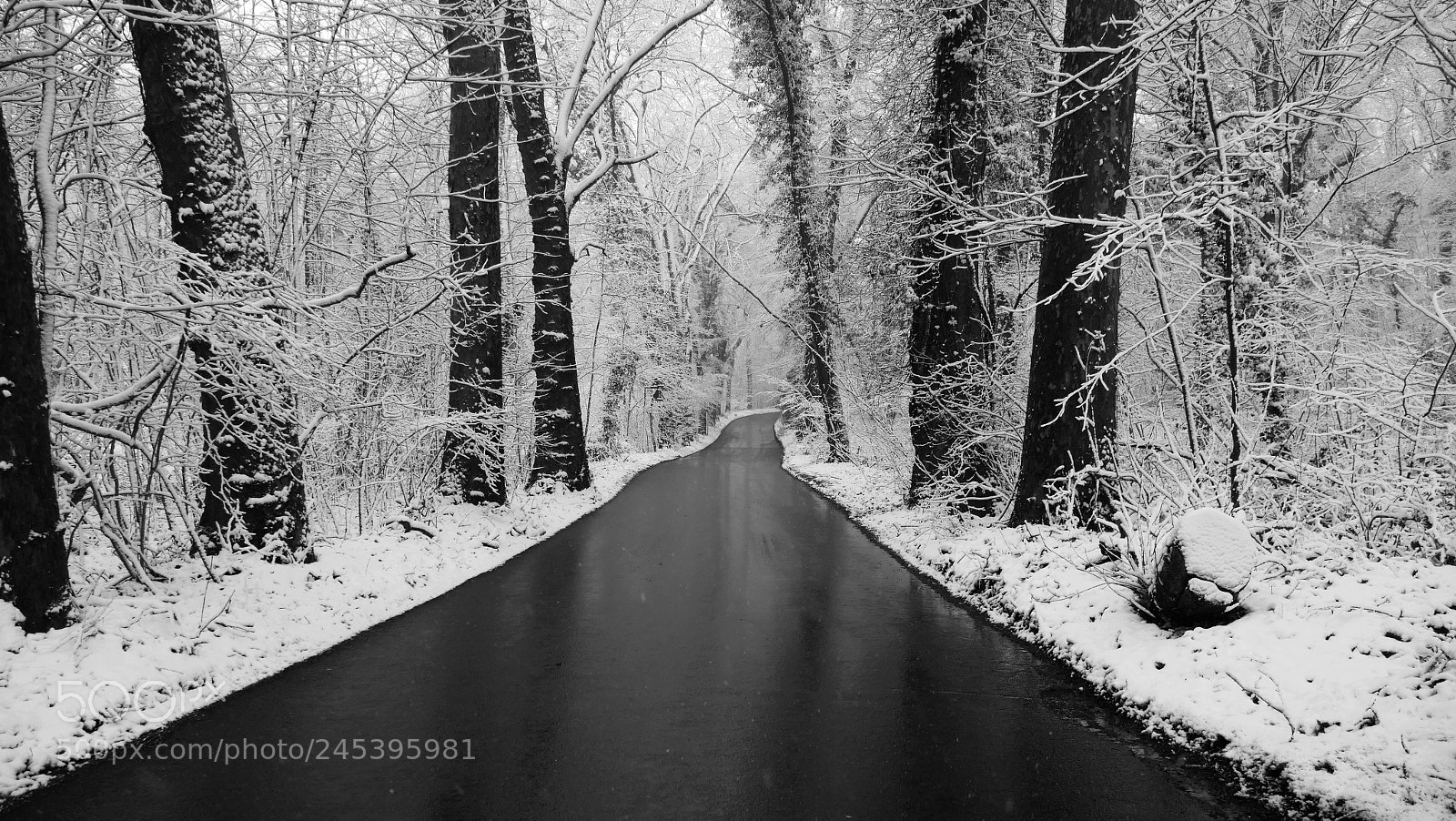 Panasonic Lumix DMC-GX8 sample photo. La route miroir photography