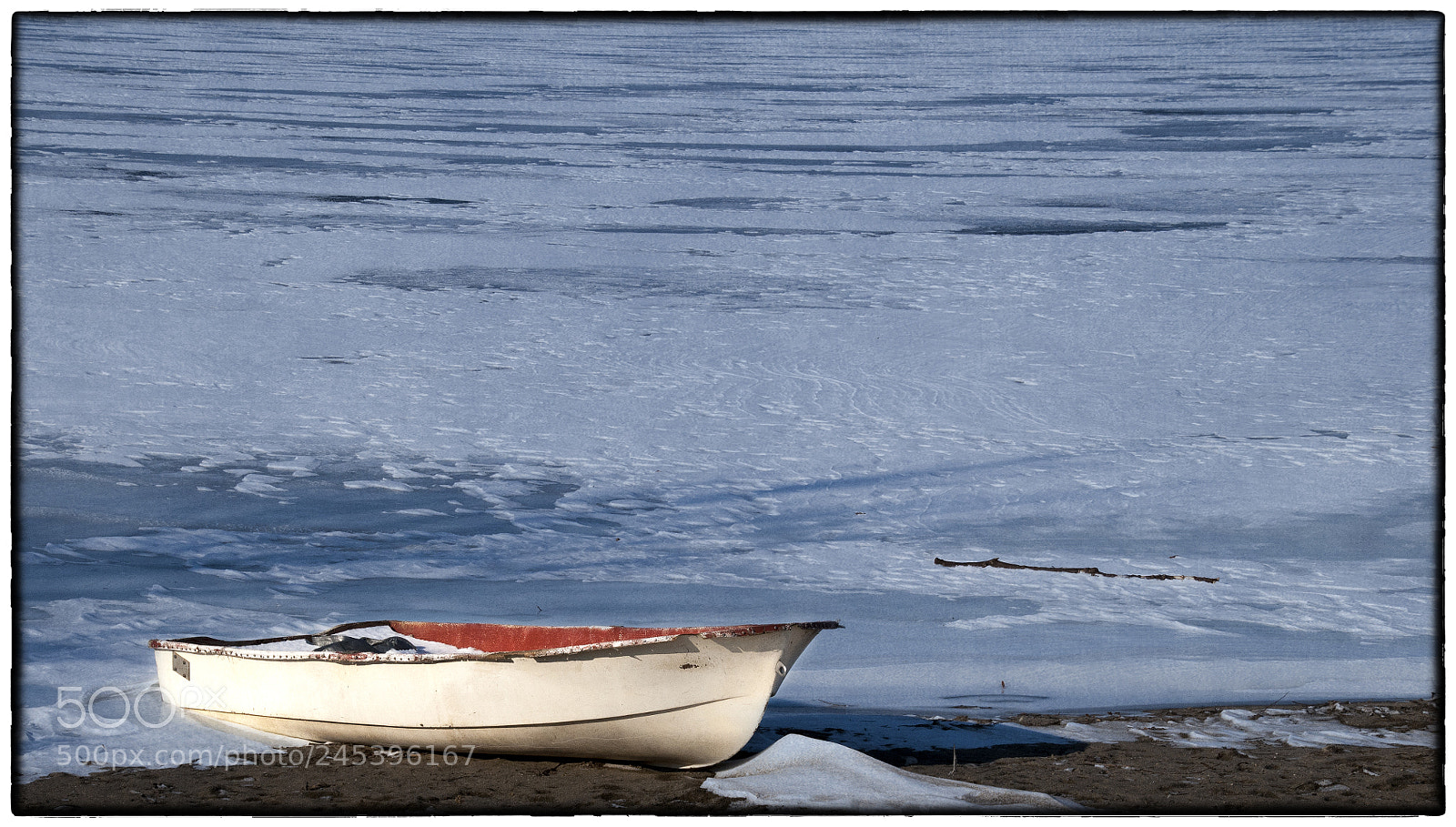Nikon D300 sample photo. Is it spring yet photography