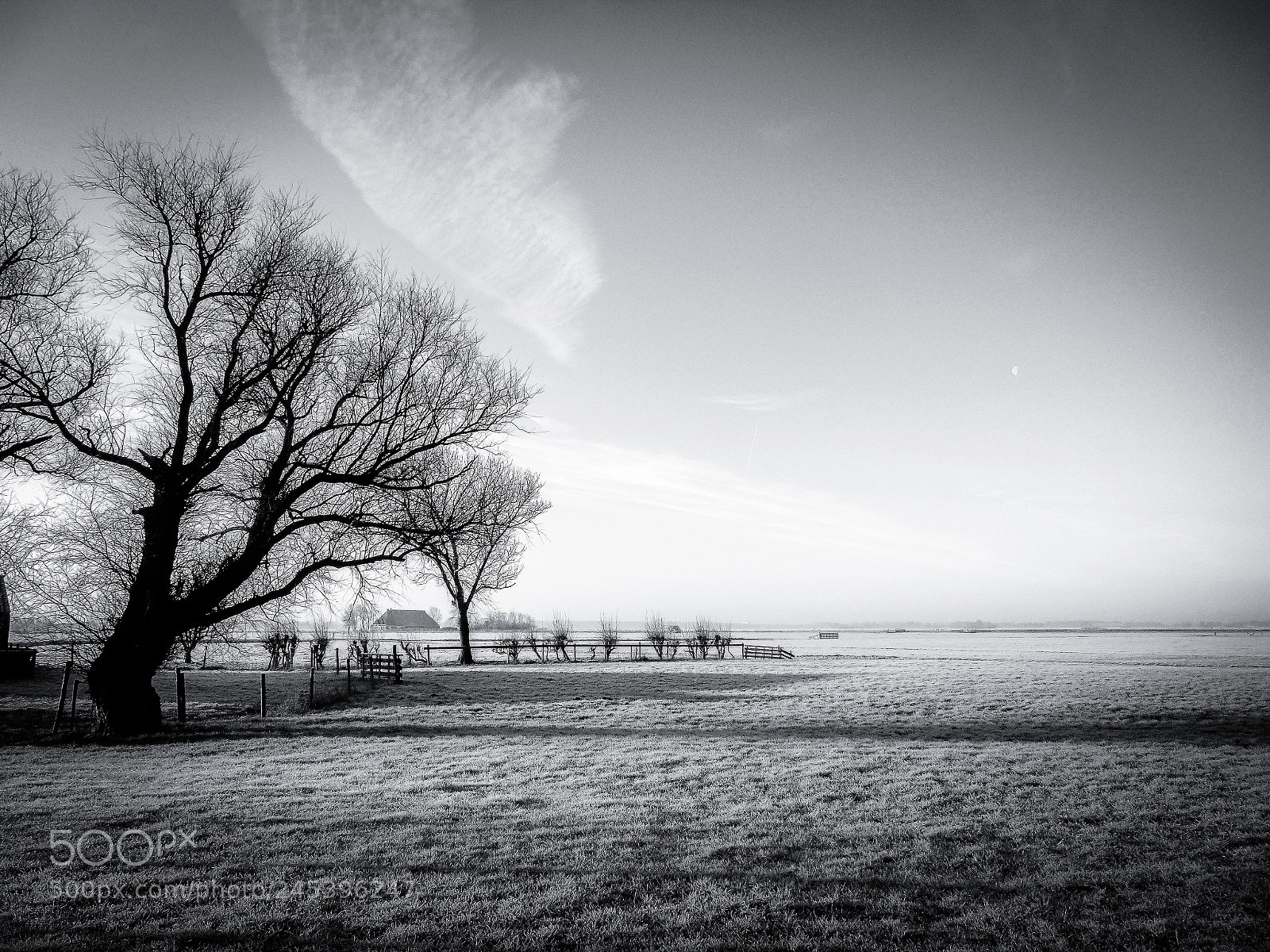 Sony Cyber-shot DSC-H400 sample photo. Winter morning photography