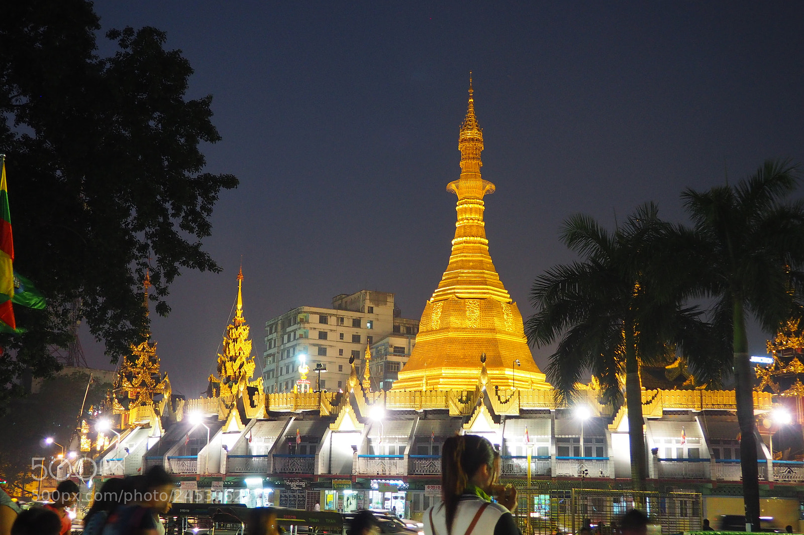 Olympus OM-D E-M10 II sample photo. Pagoda photography