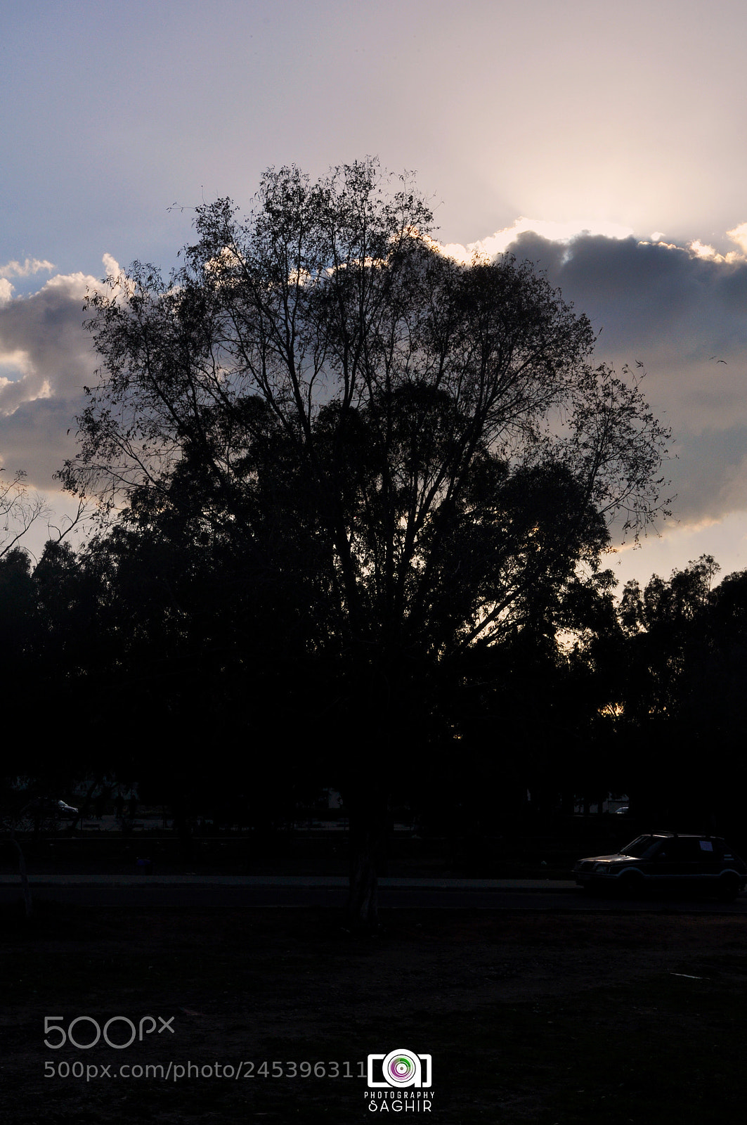 Nikon D90 sample photo. Untitled photography