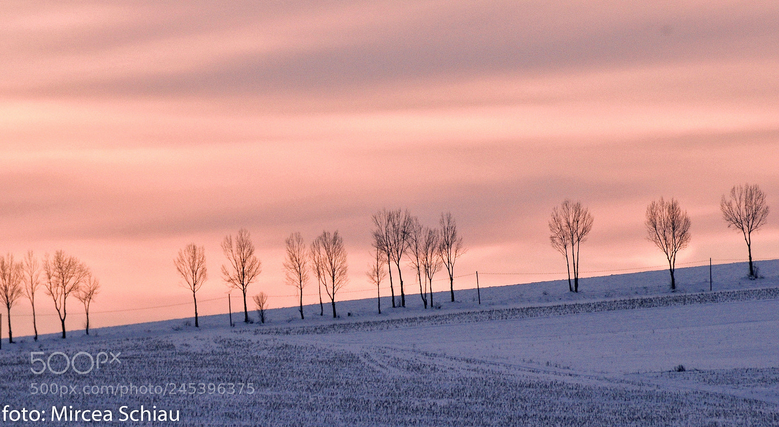 Nikon D90 sample photo. Winter photography