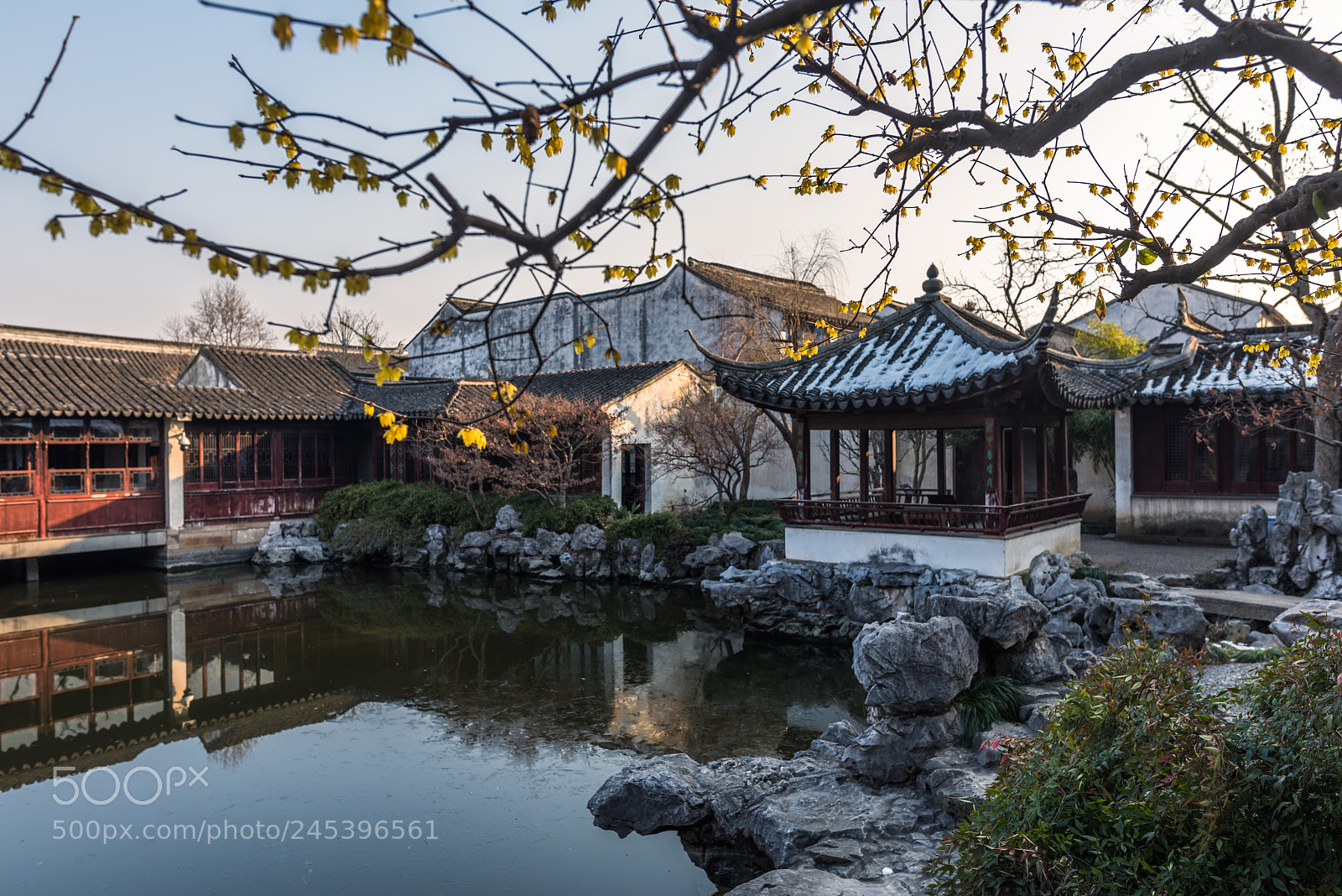 Nikon D810 sample photo. 艺圃 photography