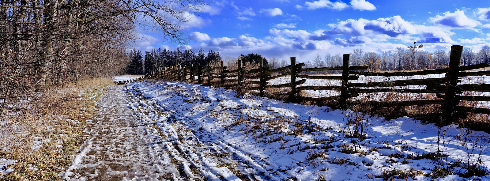 Fujifilm GFX 50S sample photo. Bronte creek province park photography