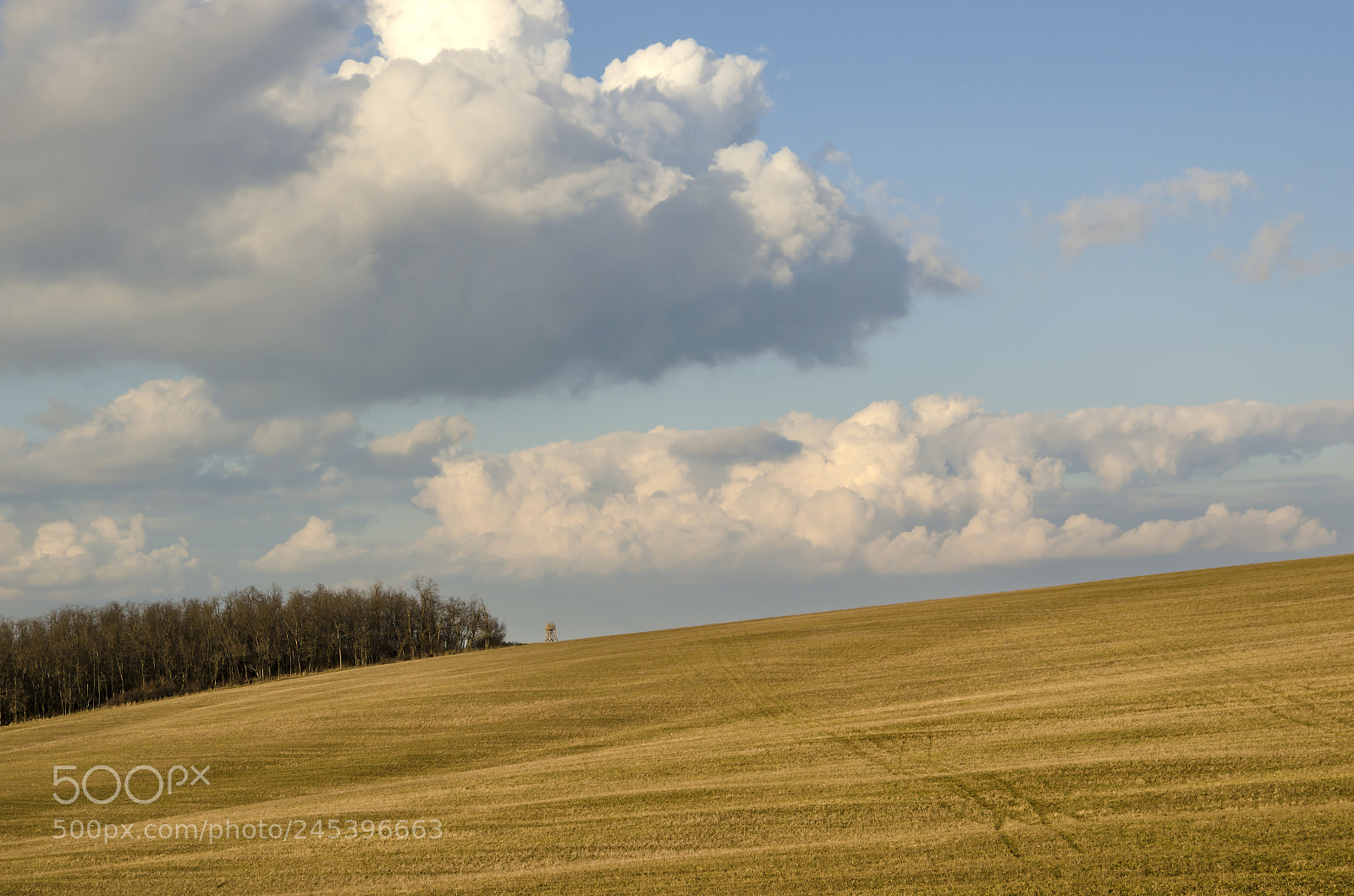 Nikon D5100 sample photo. Field photography