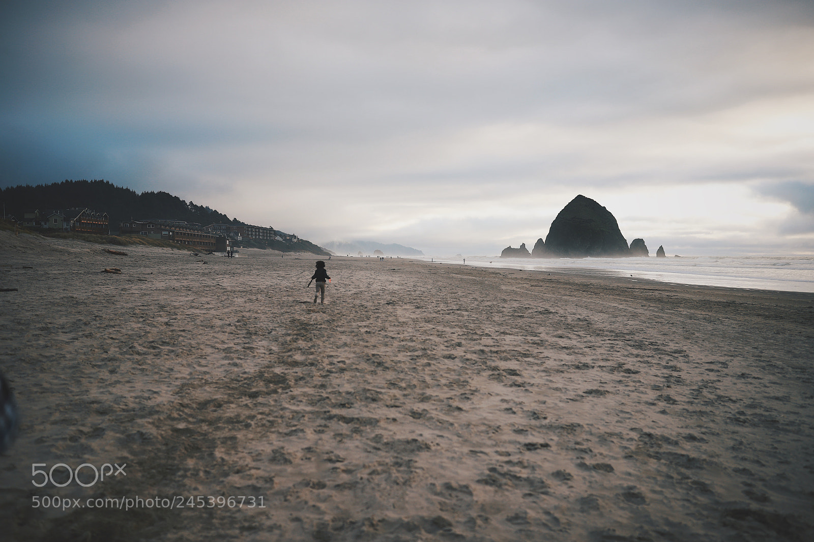 Canon EOS 6D Mark II sample photo. Cannon beach adventure. photography