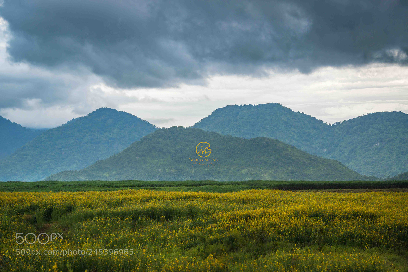 Nikon D800 sample photo. ធម្មជាតិដ៏អស្ចារ្យ ! amazing nature! photography