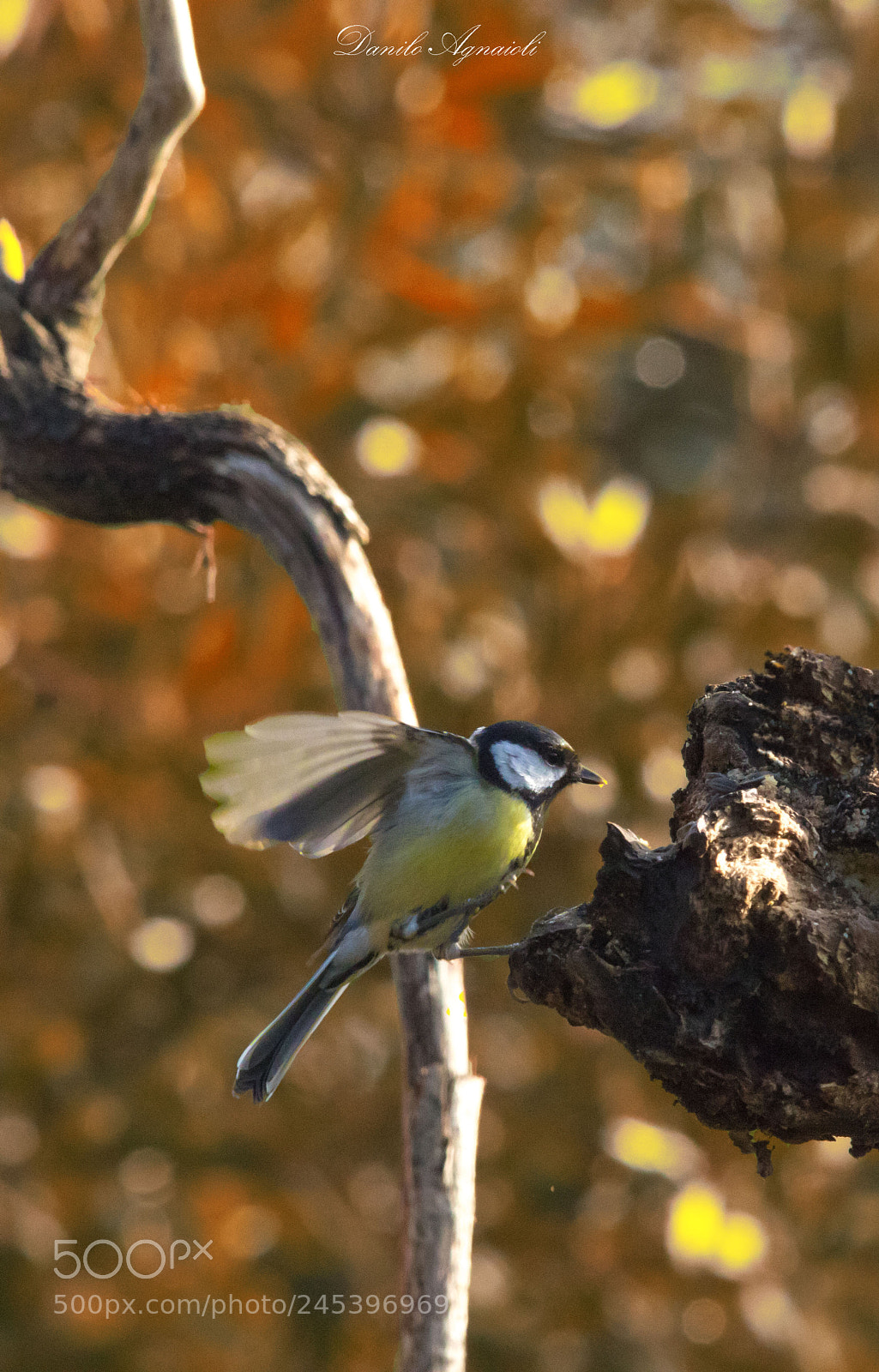 Canon EOS 7D Mark II sample photo. Arrivooooo!!!! photography