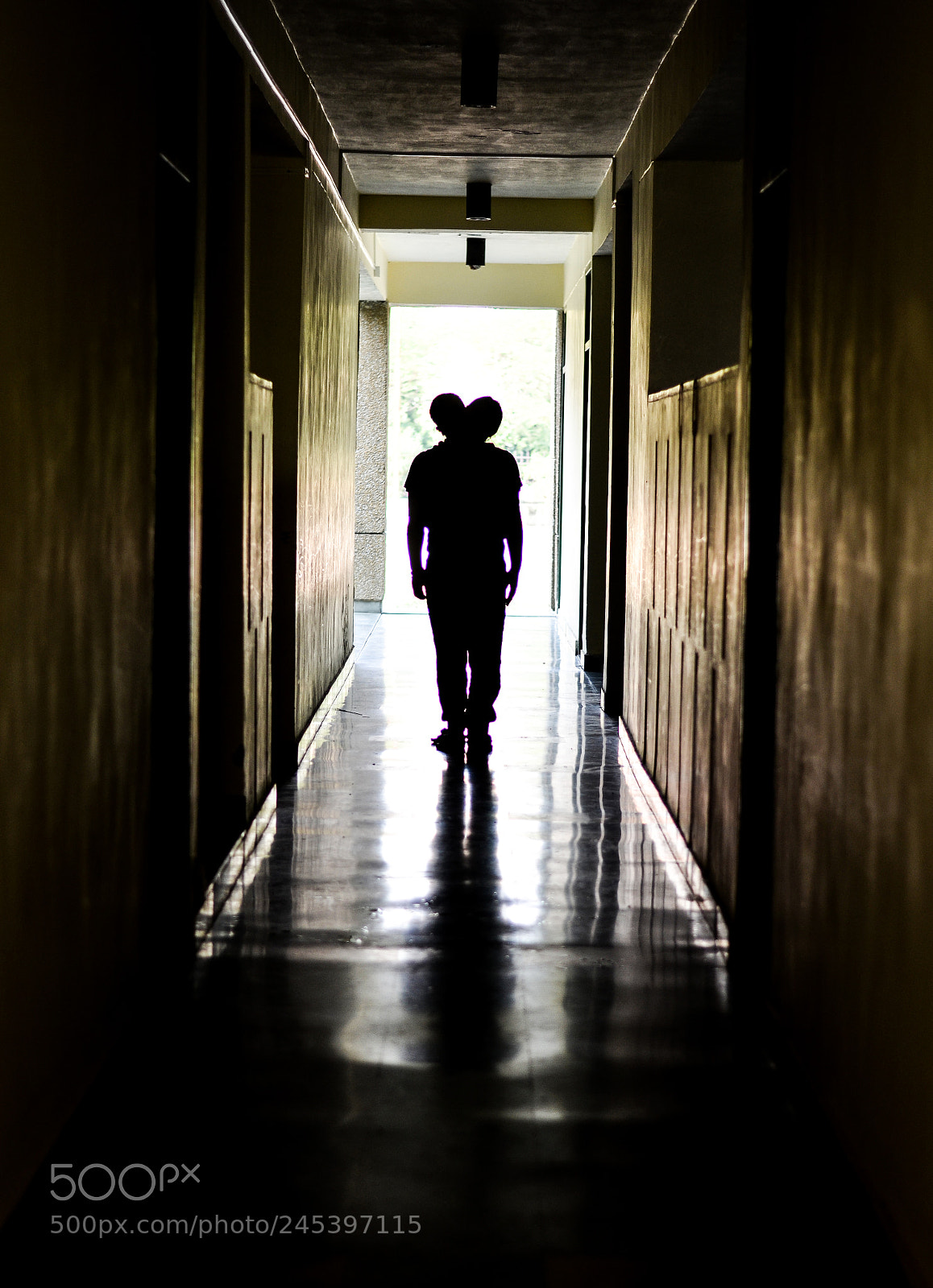 Nikon D5100 sample photo. Untitled photography