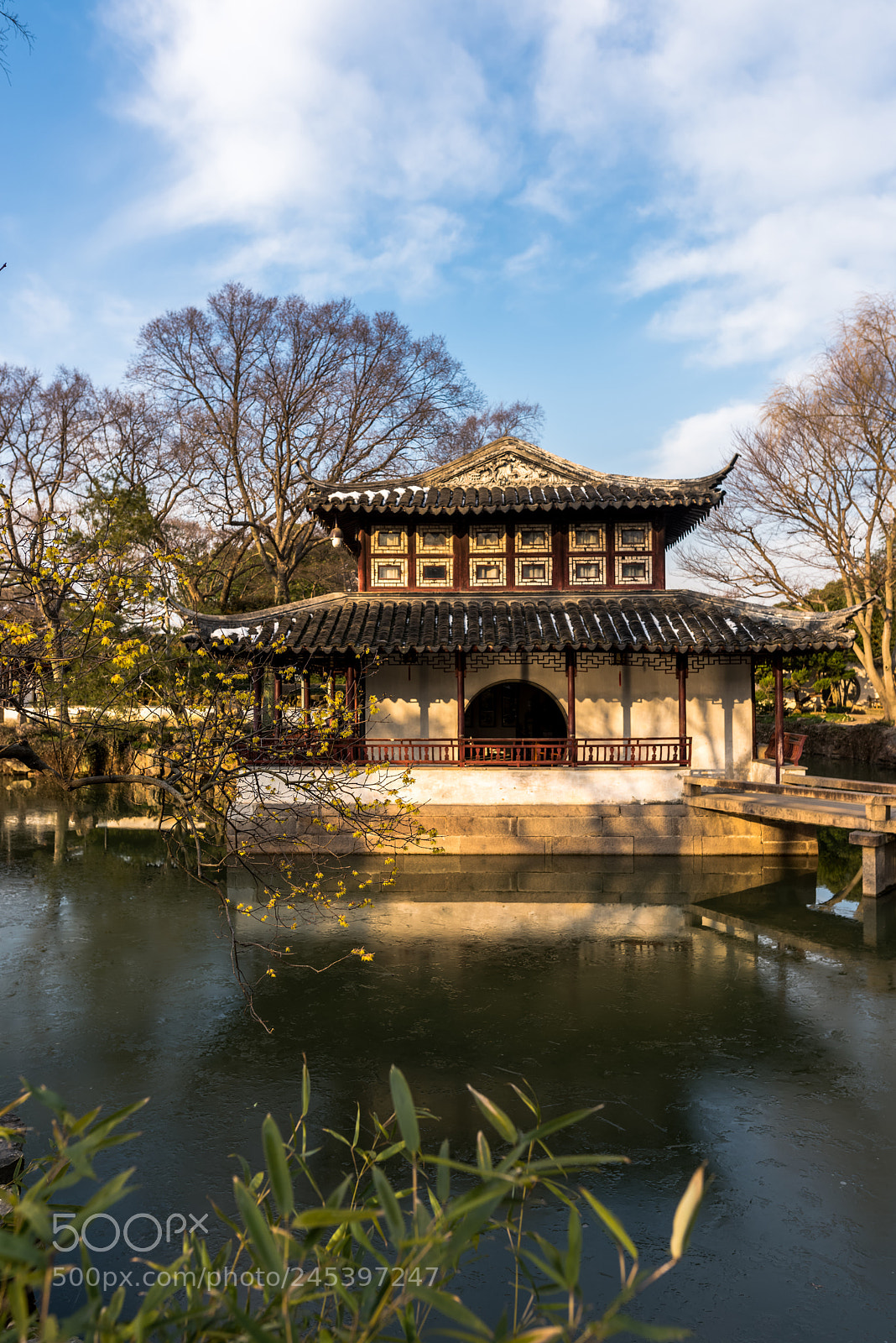 Nikon D810 sample photo. 拙政园之冬 photography