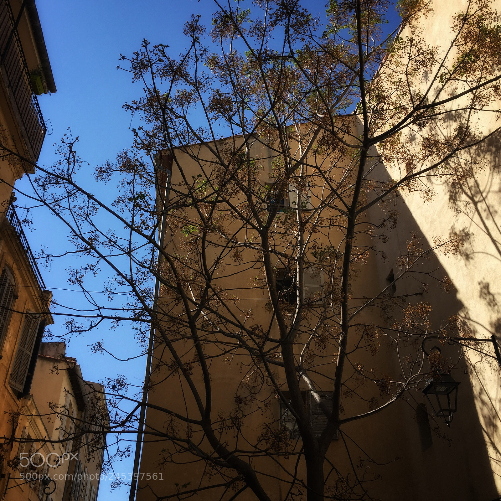 Apple iPhone 6 sample photo. 在巷弄口矗立的這大樹下，咖啡館座無虛席 photography