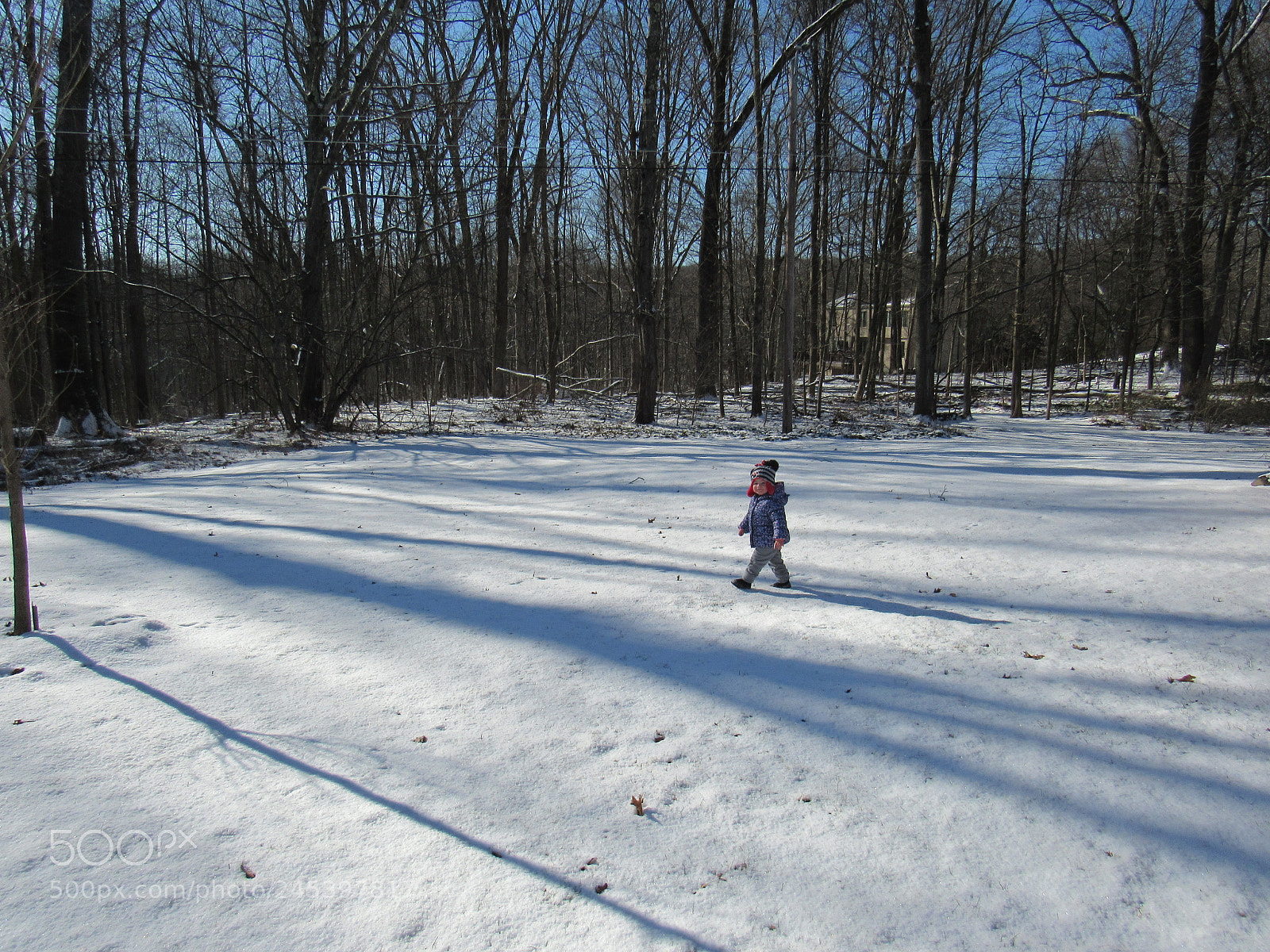 Canon PowerShot SX530 HS sample photo. Bye bye mommy photography