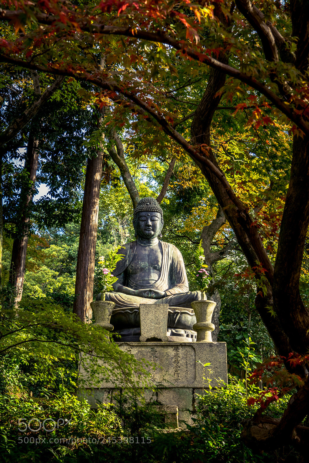 Sony a7R sample photo. Peaceful photography