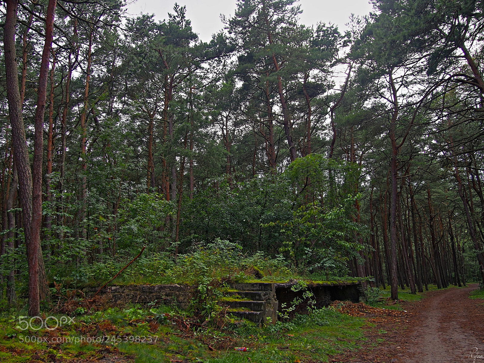 Olympus PEN E-PL5 sample photo. Ruins in międzywodzie. 3 photography