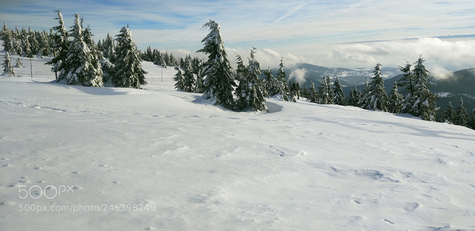 Xiaomi MI 5 sample photo. Winter photography