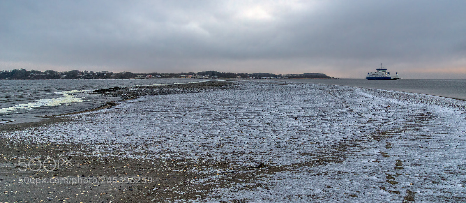 Sony ILCA-77M2 sample photo. On a grey morning photography