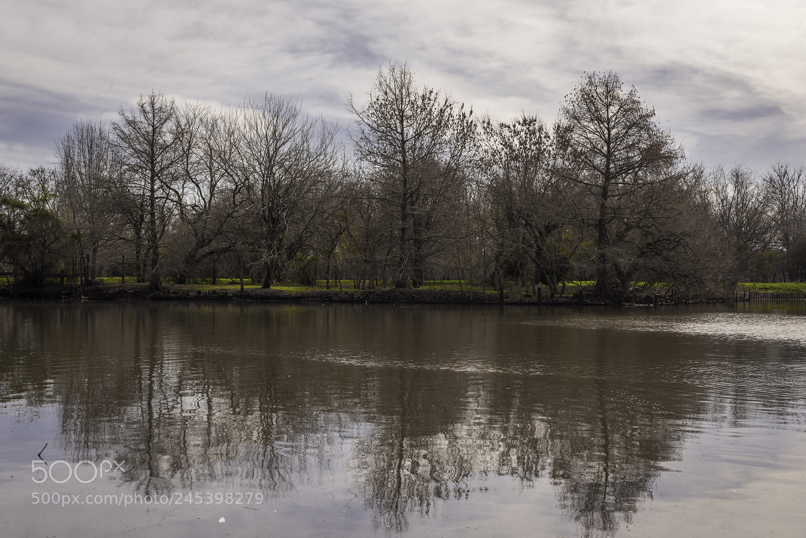 Nikon D810 sample photo. Shadows in the lake photography