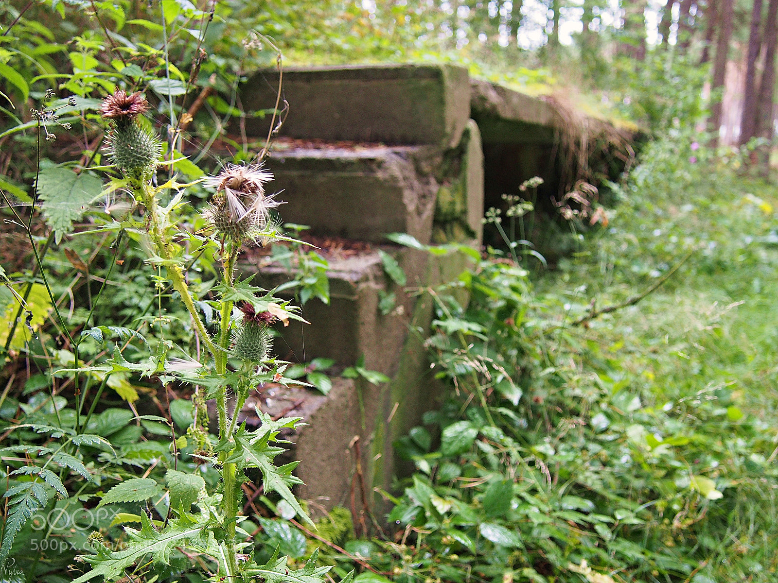 Olympus PEN E-PL5 sample photo. Ruins in międzywodzie. 1 photography