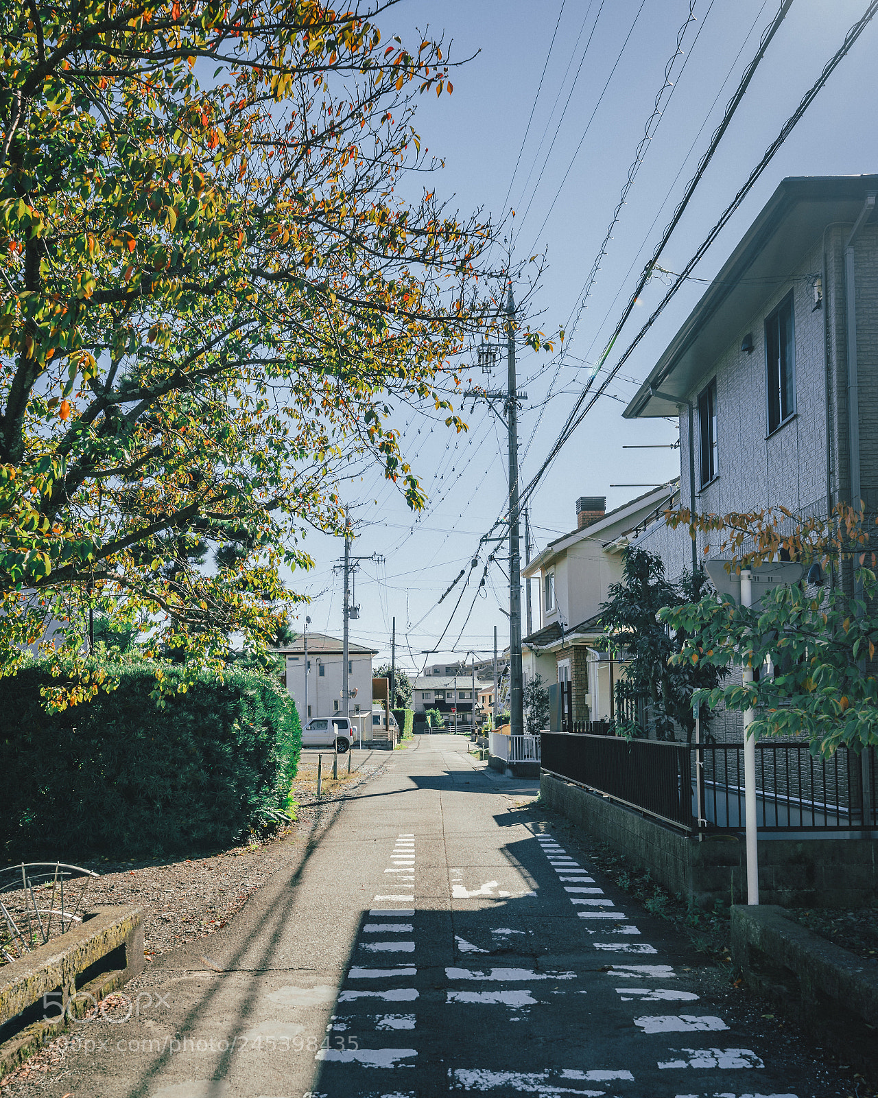 Sony a7R II sample photo. Walk in peaceful fujieda photography