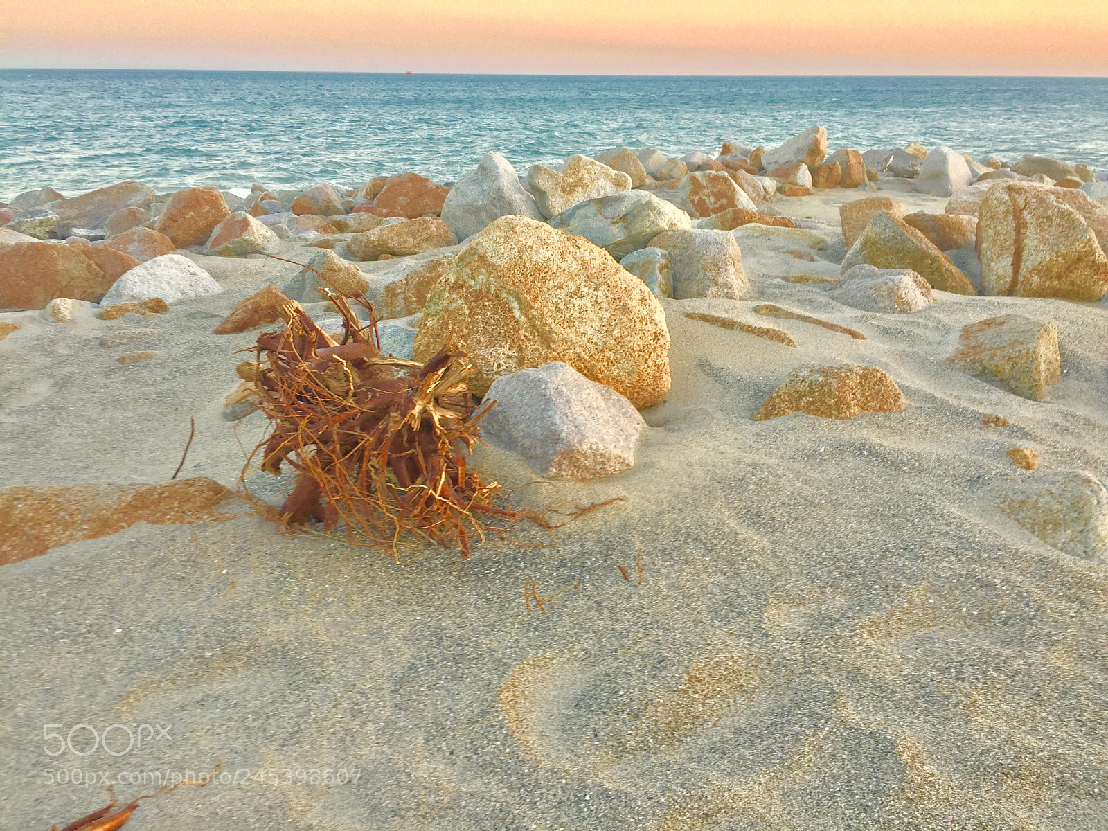 Apple iPhone 6 sample photo. Sun and sand photography