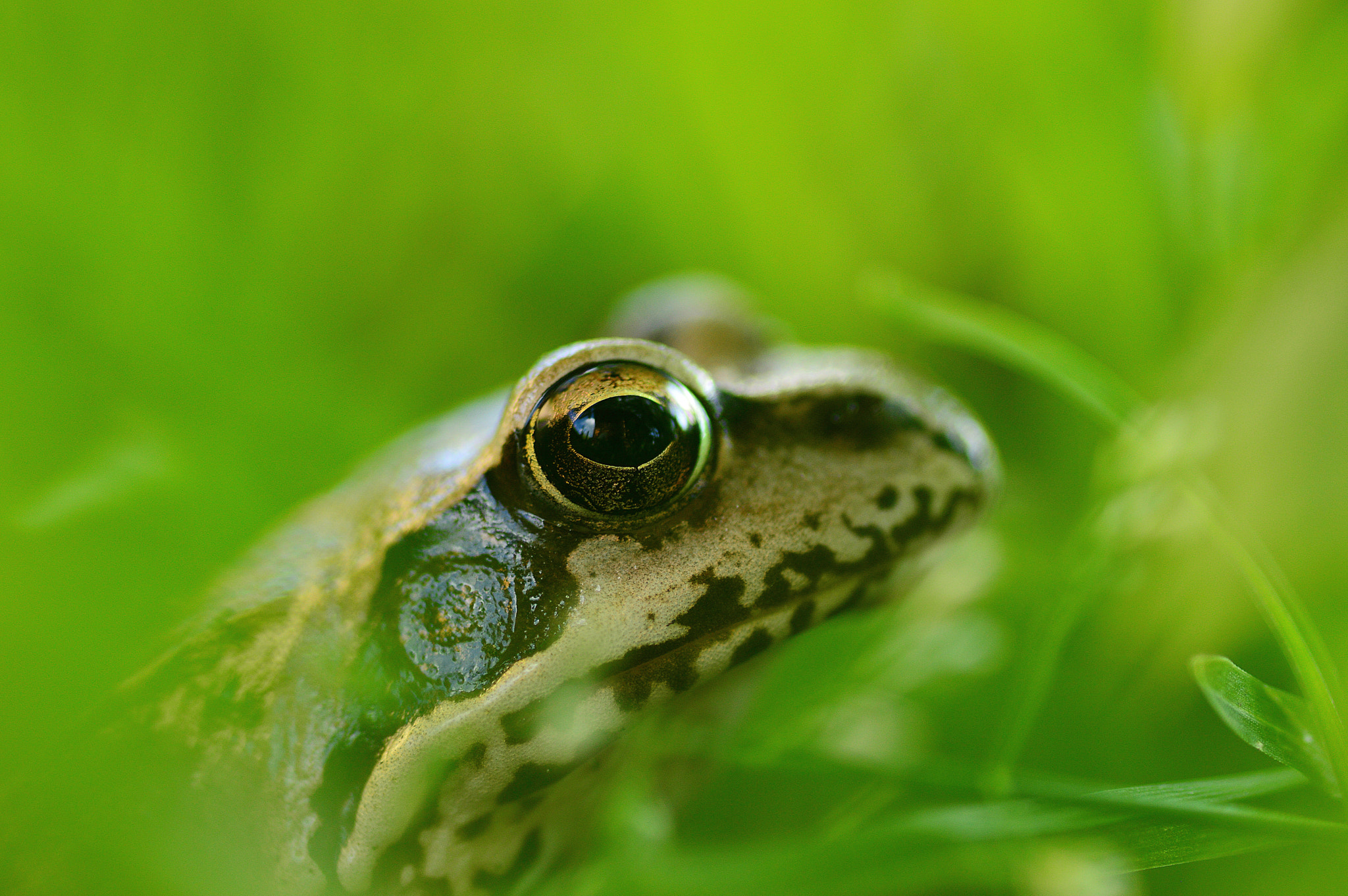 Nikon D3200 sample photo