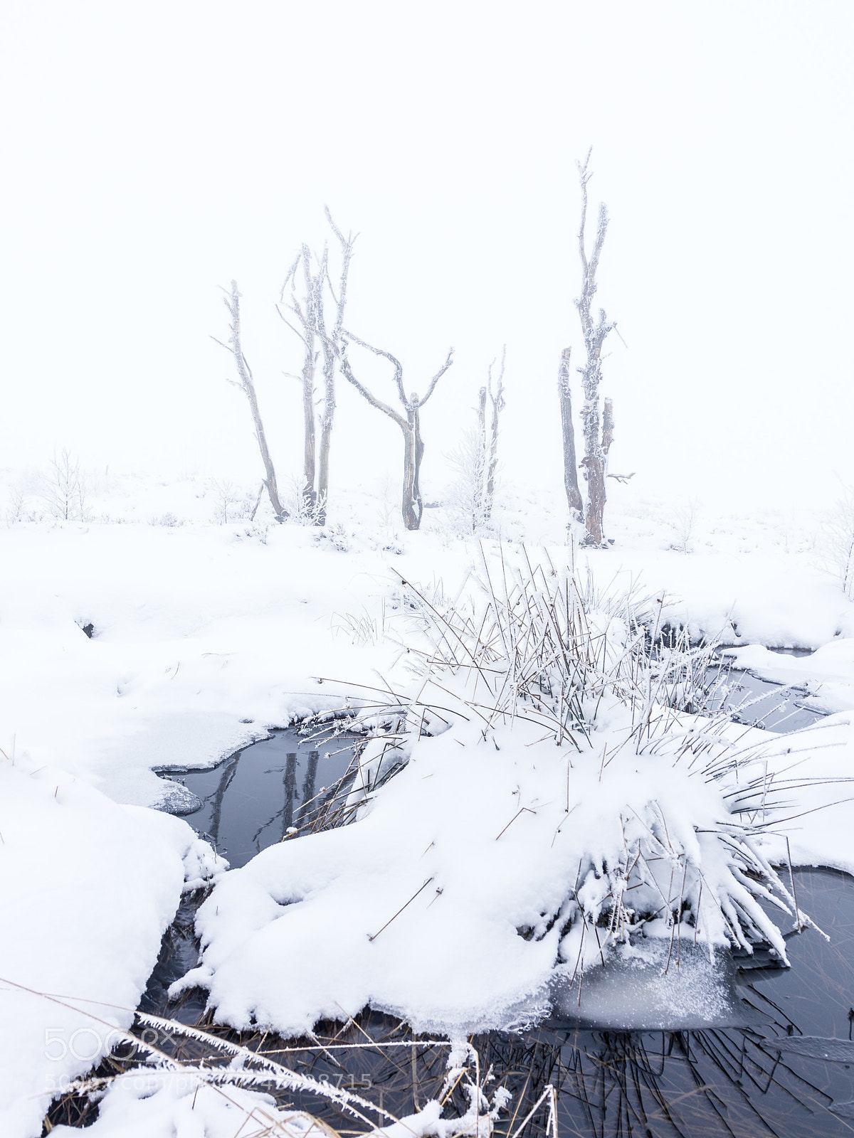 Pentax K-5 sample photo. Hautes fagnes i photography