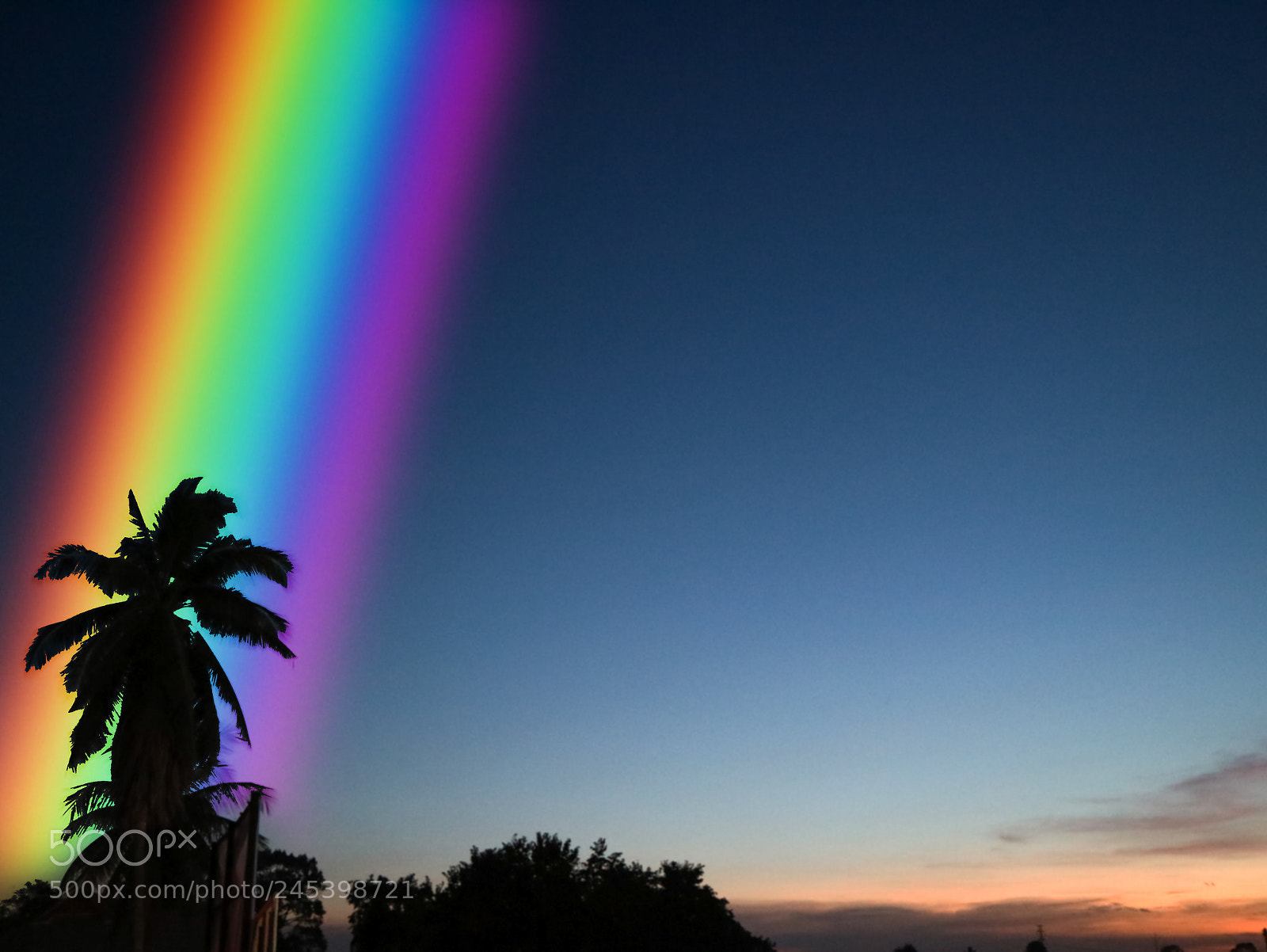 Canon EOS M3 sample photo. Rainbow on silhouette palm photography