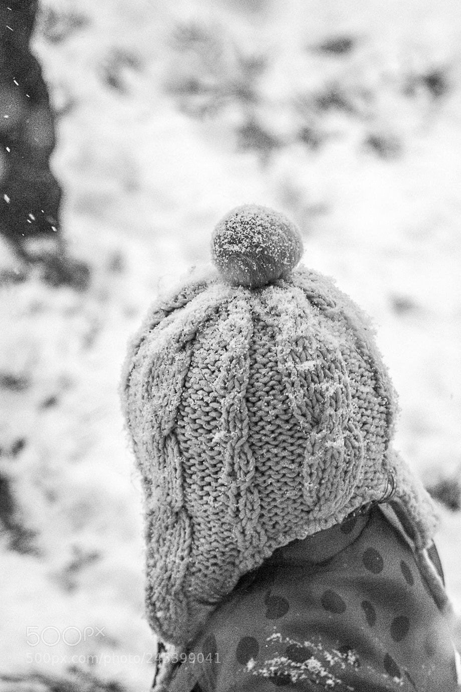 Nikon D7200 sample photo. Le bonnet photography