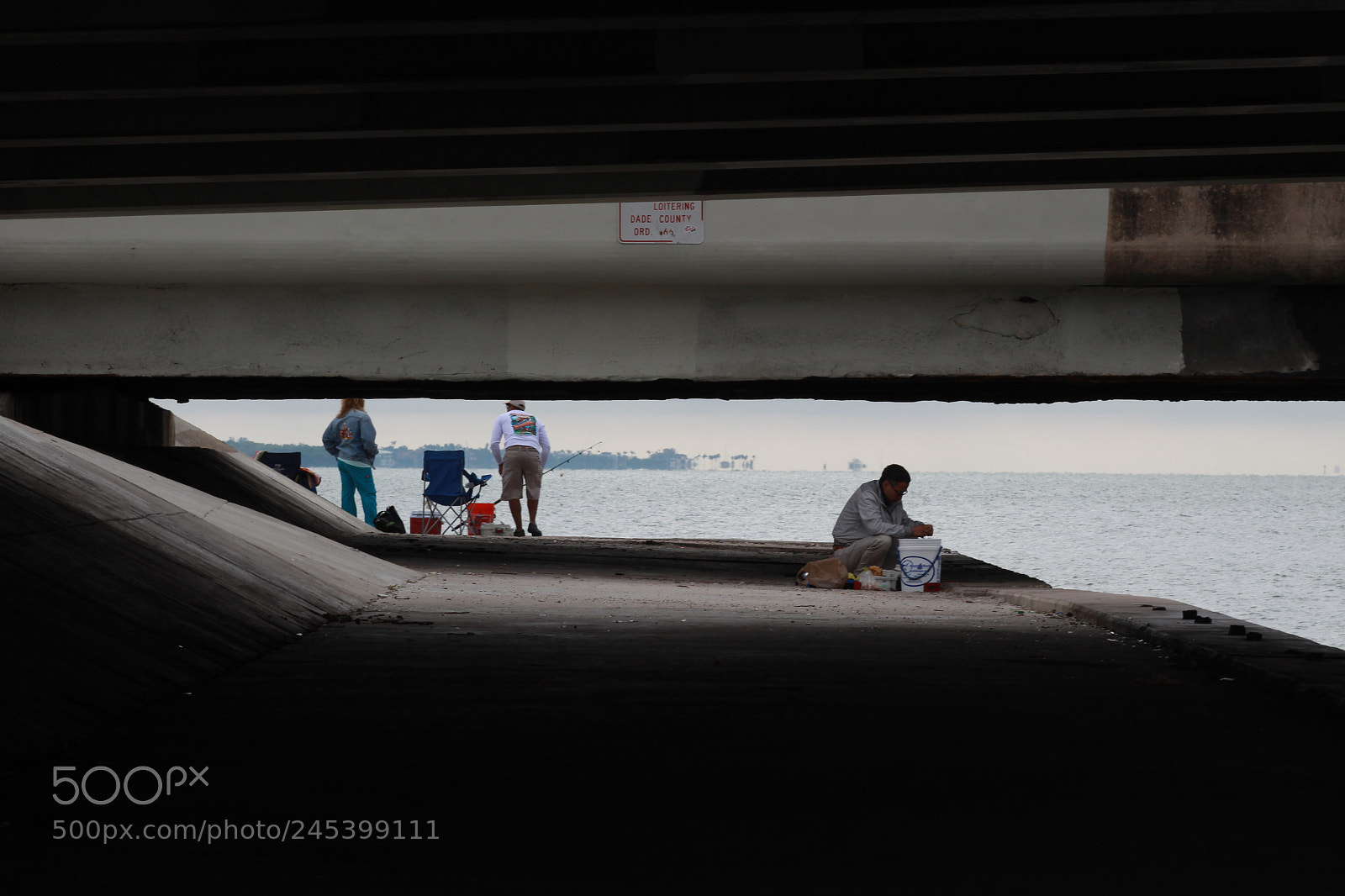 Canon EOS 1300D (EOS Rebel T6 / EOS Kiss X80) sample photo. Bridge fish photography