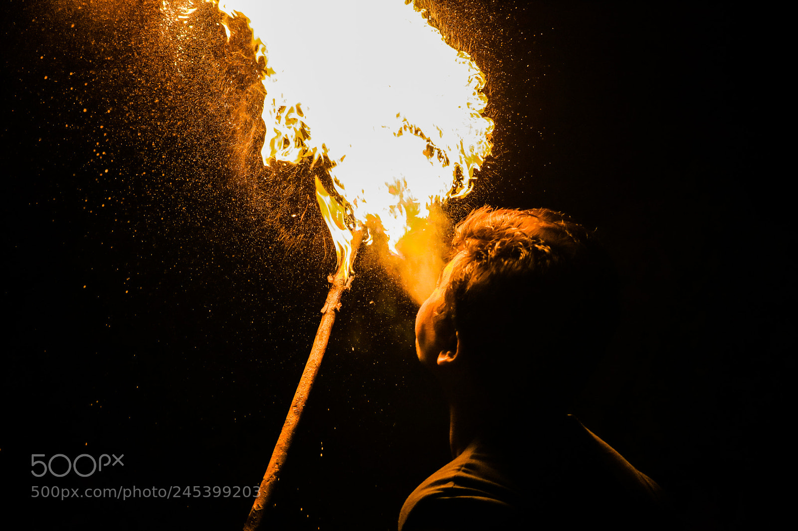 Canon EOS 750D (EOS Rebel T6i / EOS Kiss X8i) sample photo. Flame up photography