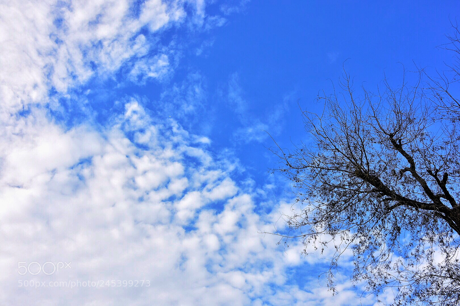 Nikon D7200 sample photo. Sky photography