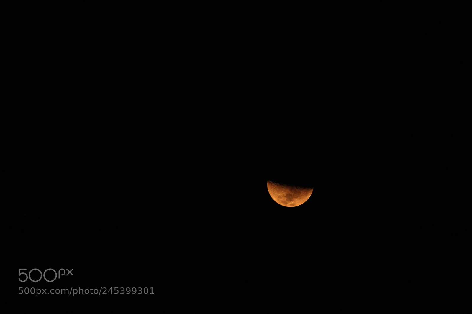 Canon EF-S 55-250mm F4-5.6 IS II sample photo. Untitled photography