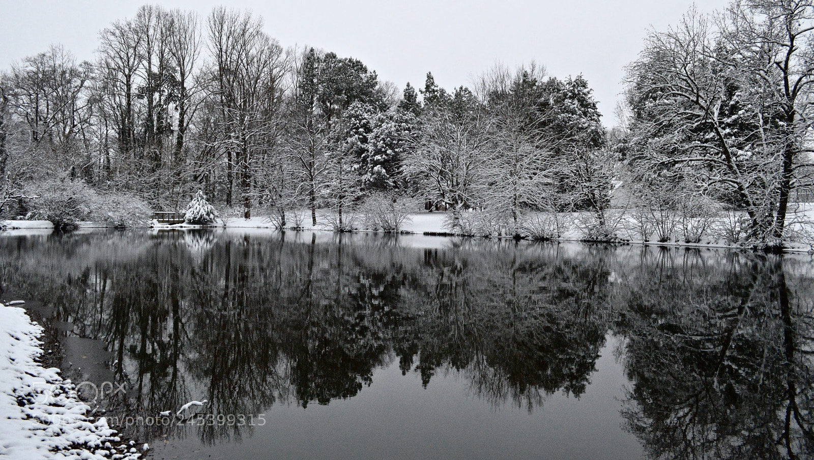 Nikon D3200 sample photo. Snow iii photography