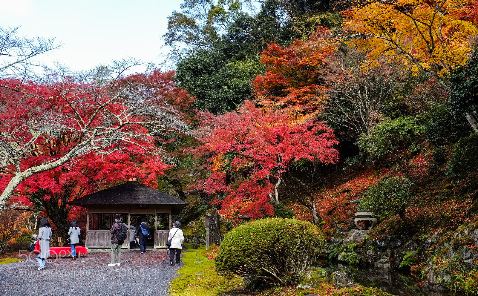Fujifilm FinePix X100 sample photo. Into view photography