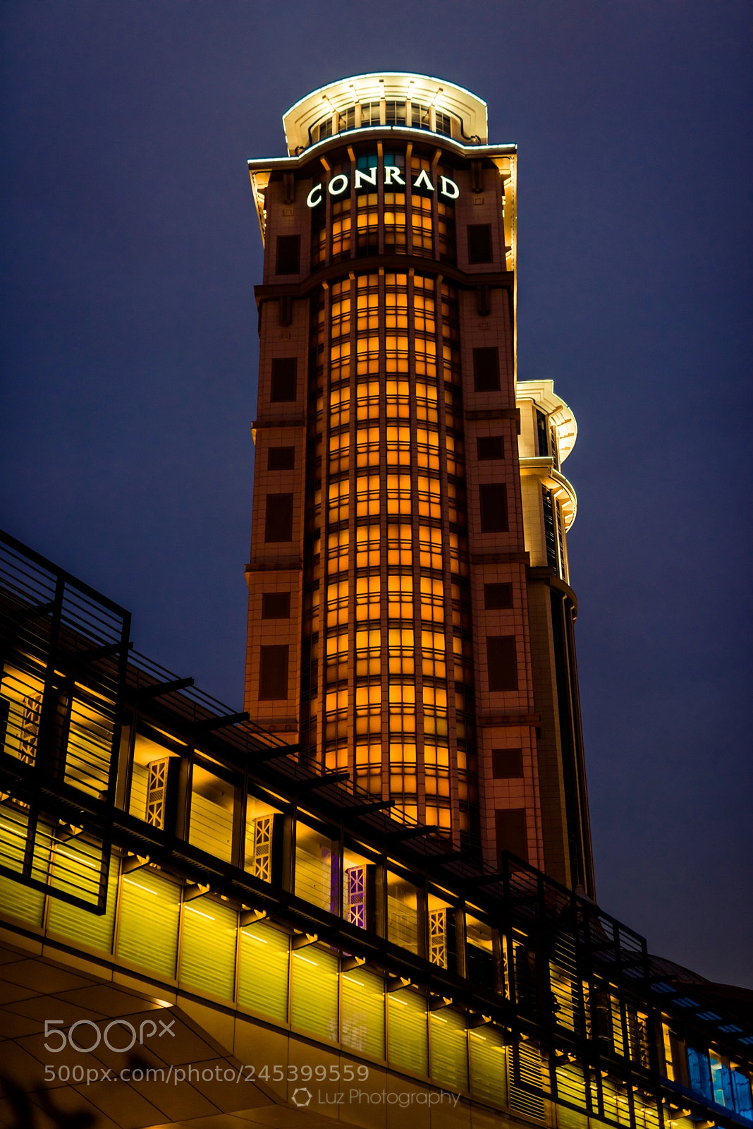 Nikon D810 sample photo. Look up photography
