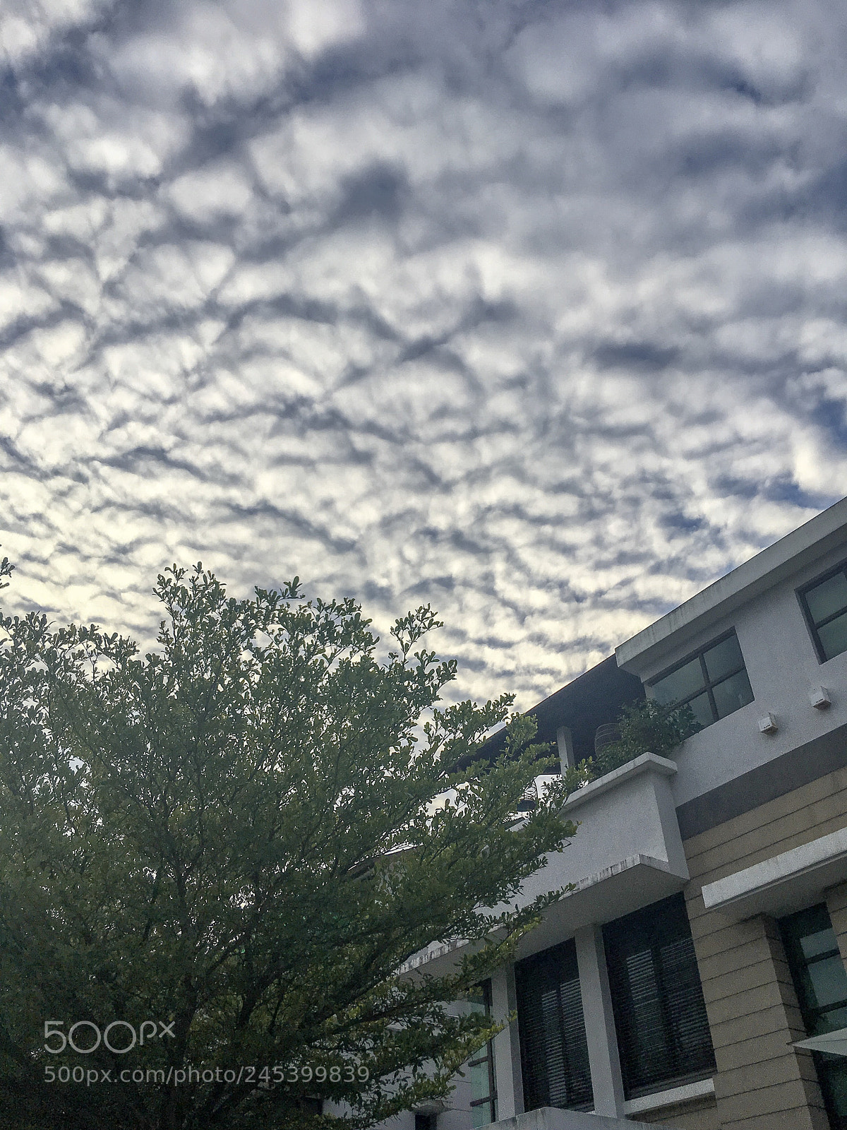 Apple iPhone SE sample photo. Clouds are the beauty photography
