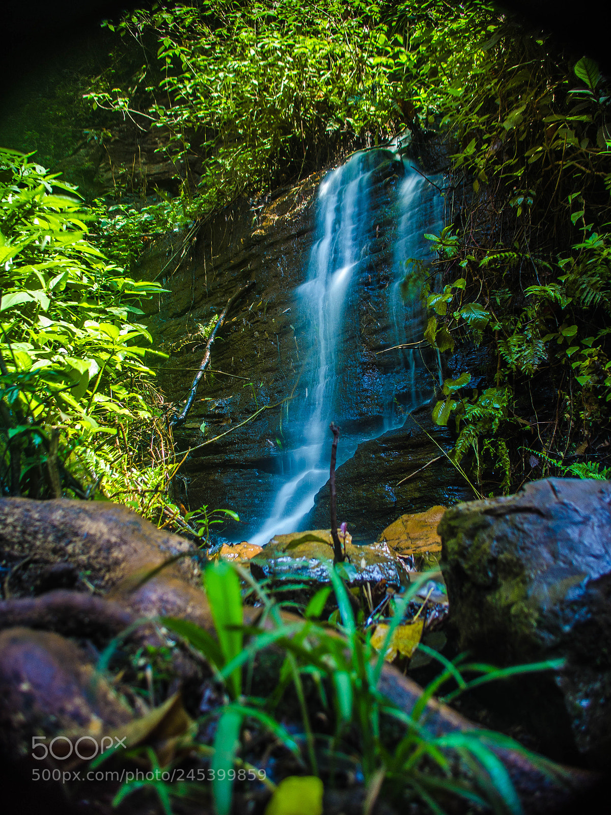 Nikon D5100 sample photo. Every teardrop is a photography