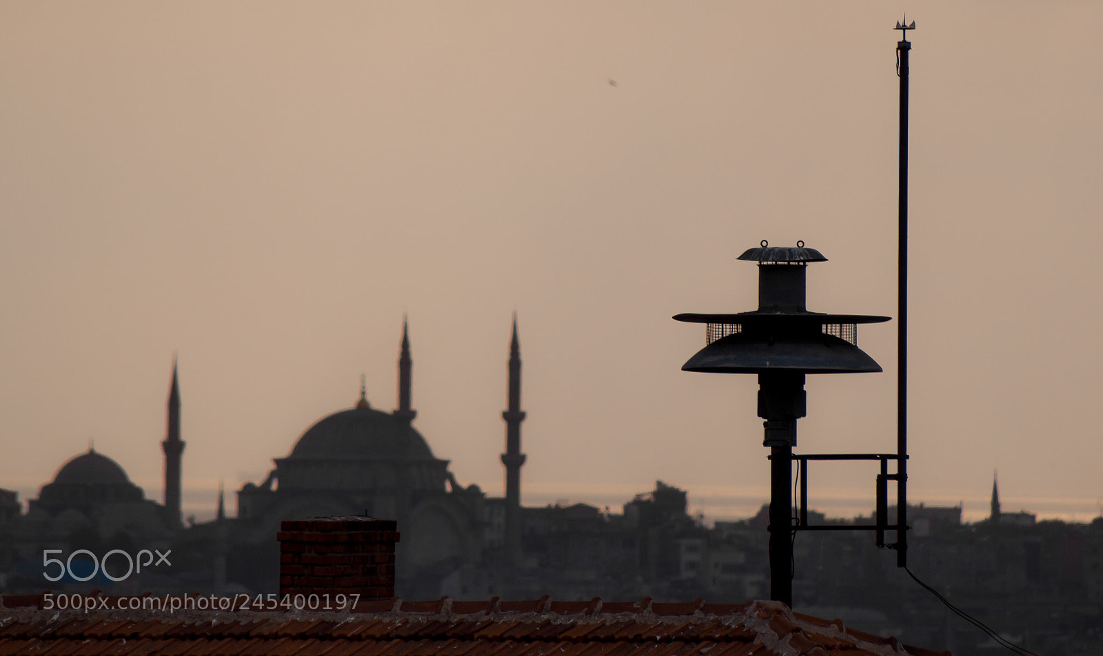 Canon EOS 60D sample photo. Sinyal photography