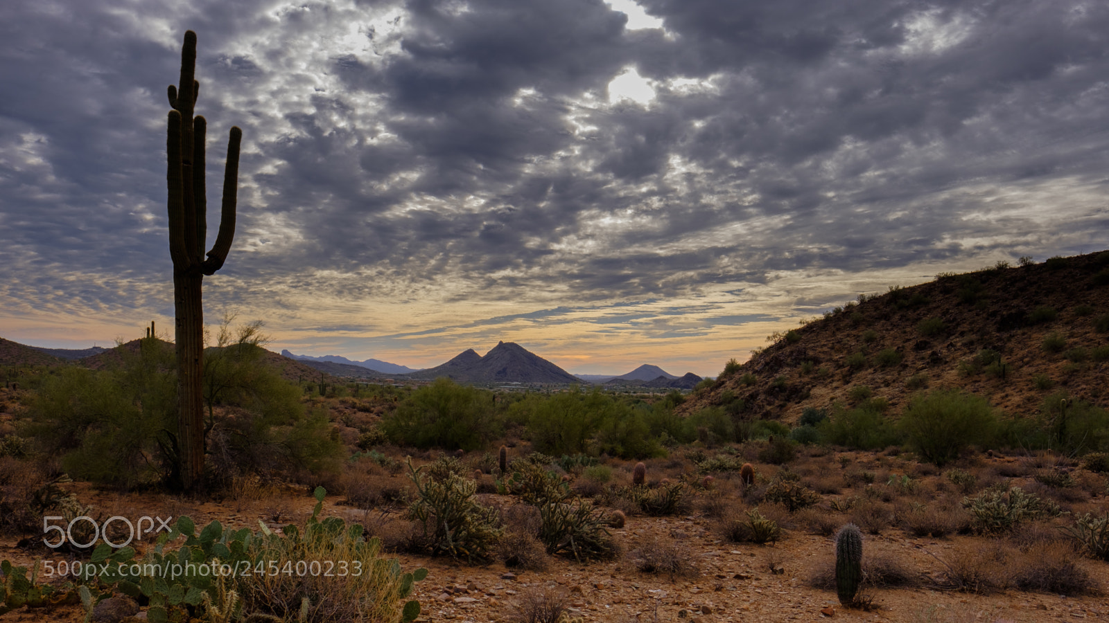 Fujifilm X-Pro2 sample photo. Scottsdale #3 photography