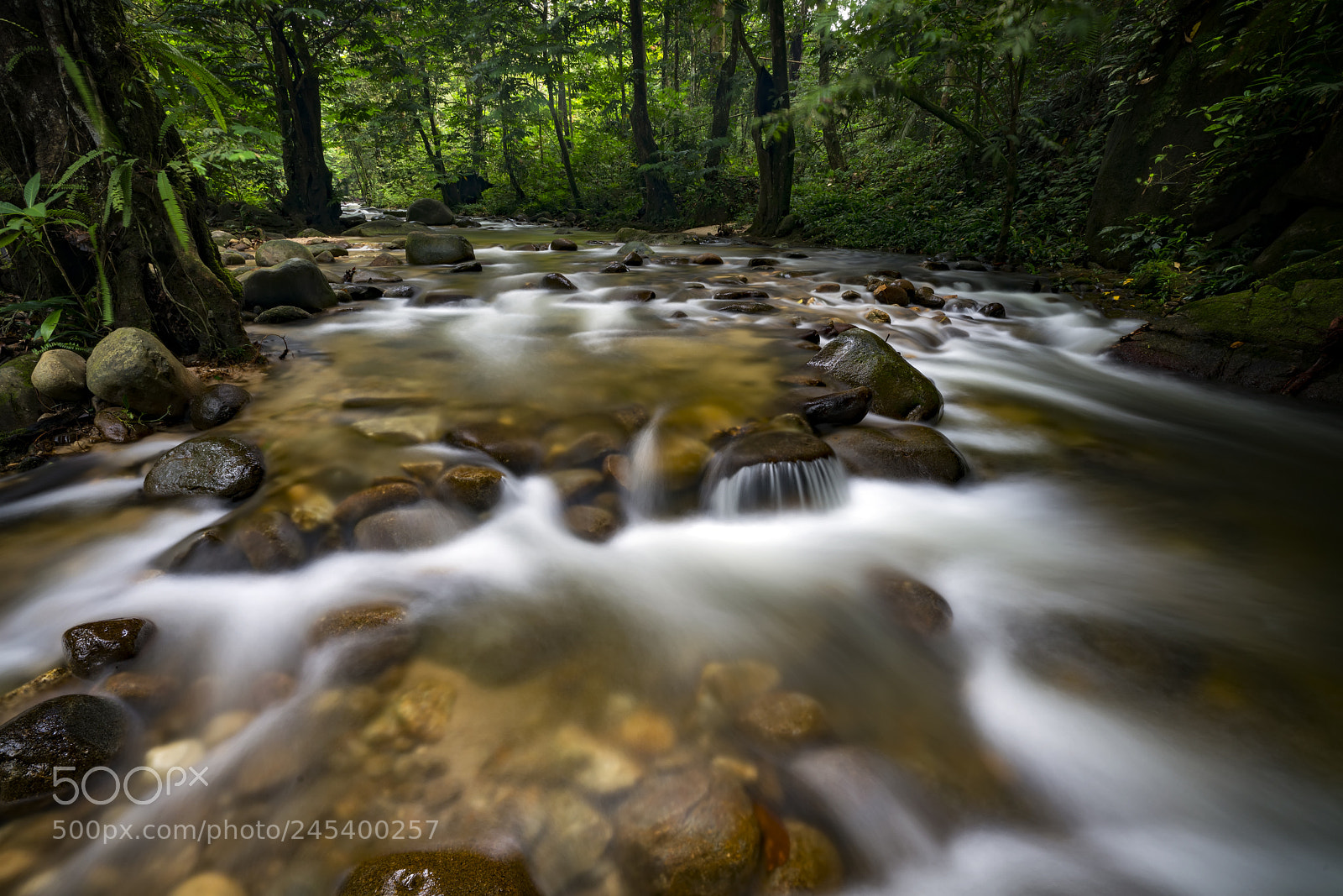 Sony a7R II sample photo. Peaceful stream photography