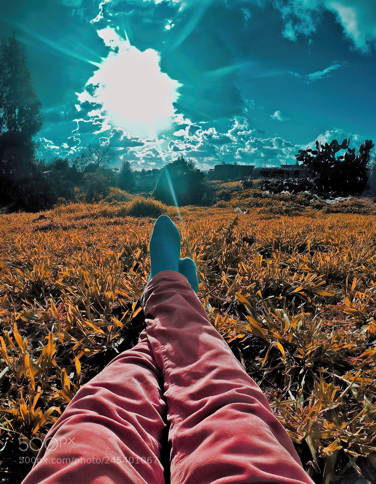 GoPro Hero5 Black sample photo. Relaxing time <3 photography