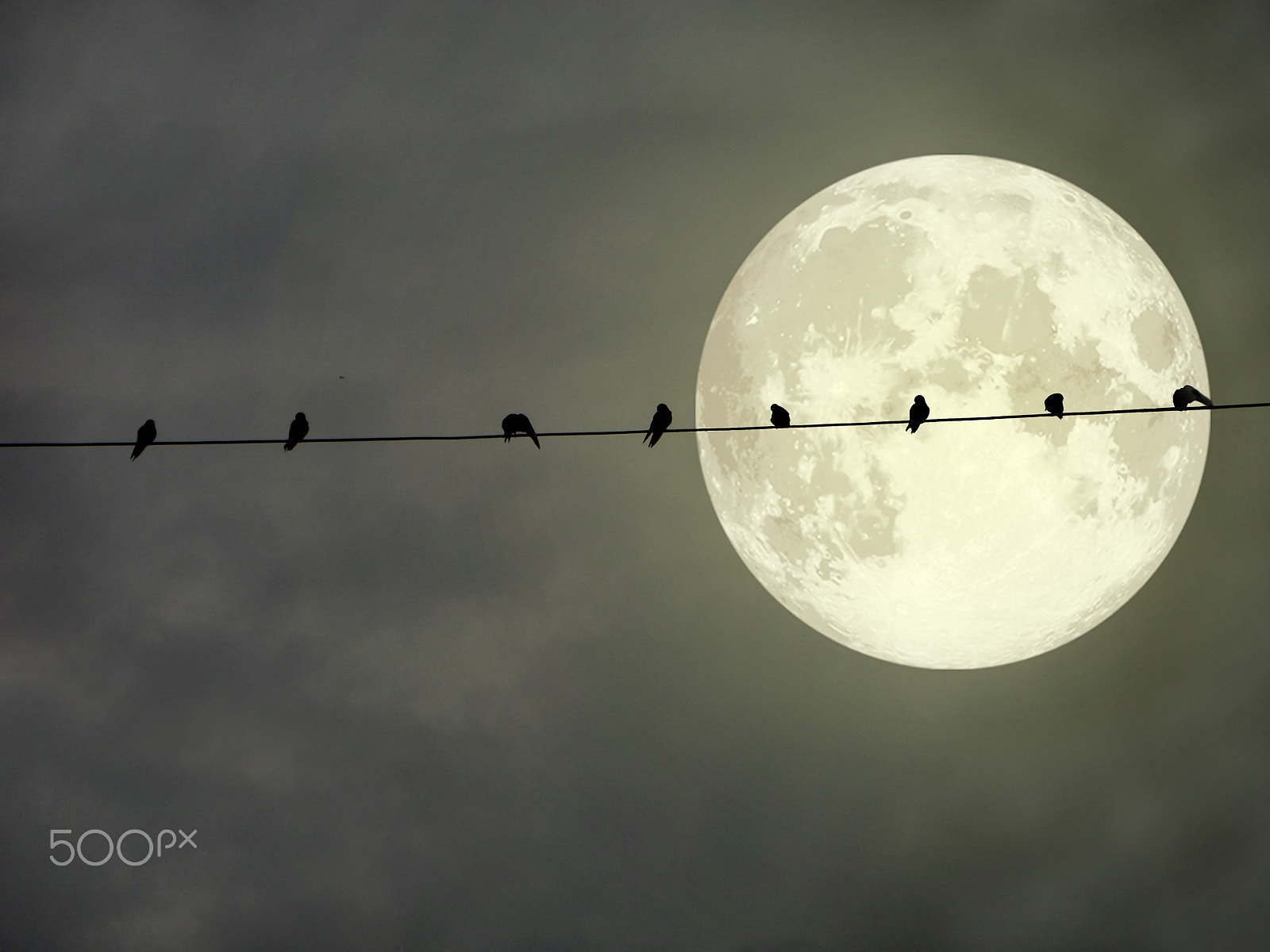 Samsung WB250F/WB251F/WB252F sample photo. Silhouette of birds hang on power electric line and super full m photography