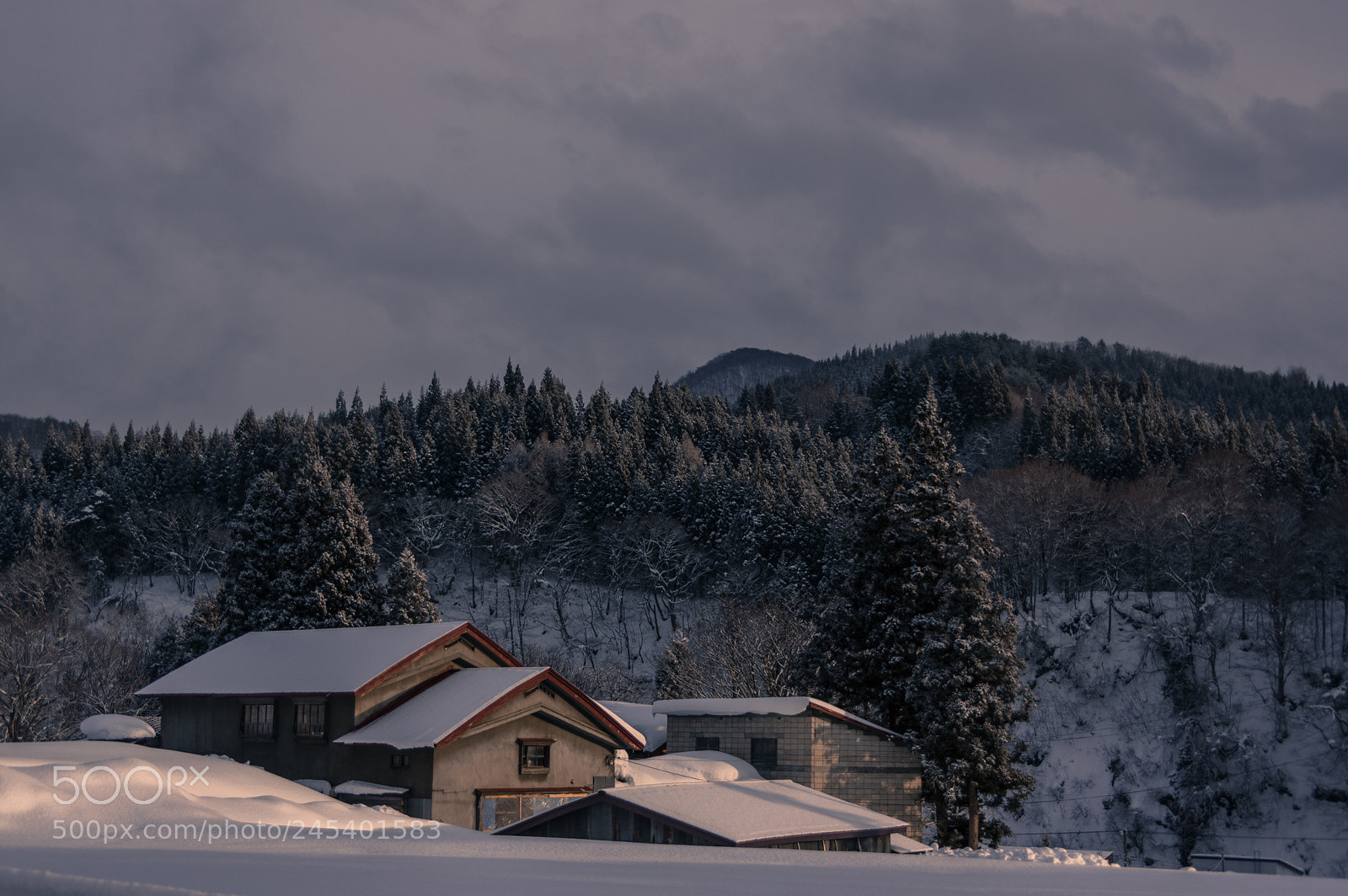 Pentax K-3 II sample photo. Buried photography