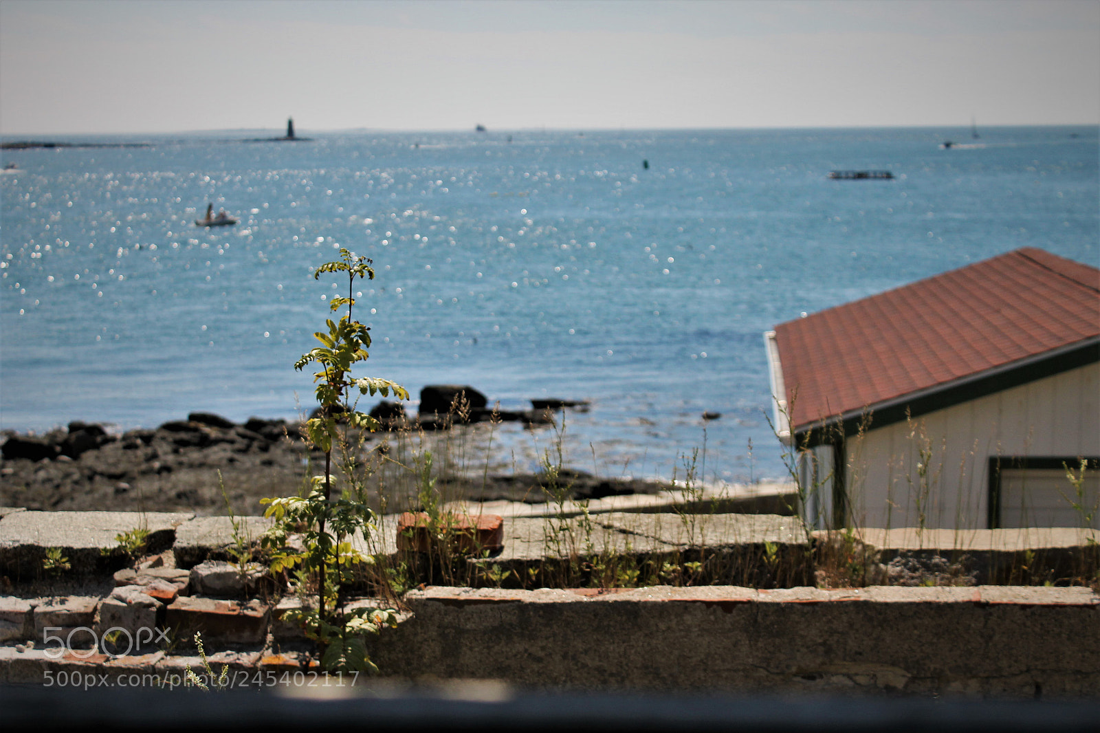 Canon EOS 1100D (EOS Rebel T3 / EOS Kiss X50) sample photo. Edit photography